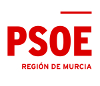 logopsoe-web