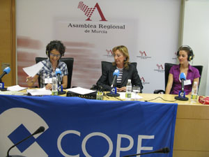 cope3-3