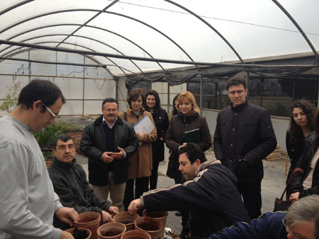 ComiDiscapac-Alhama