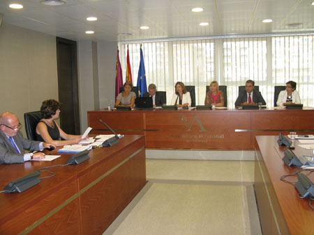 ComisionDiscapacidad2