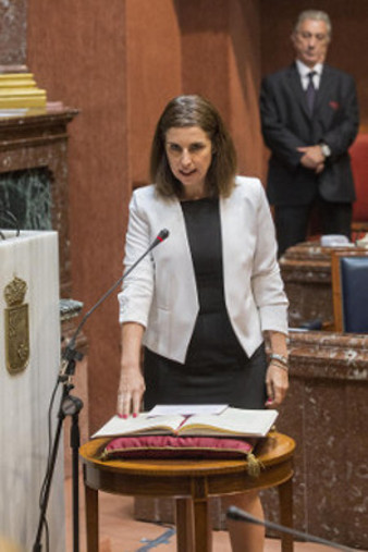 DIPUTADOSmeronomonica1