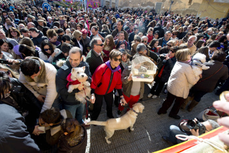 FestividadSanAnton