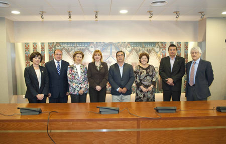 FormComision-8132