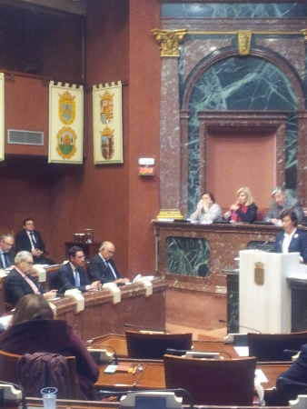 Pleno12nov