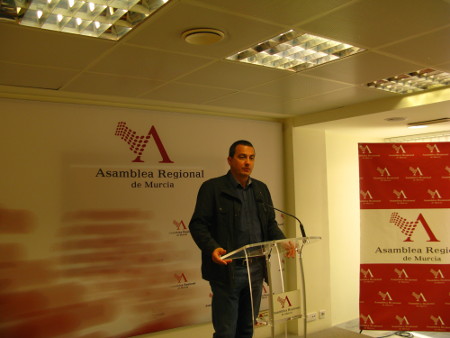 PonenciaLeyElect-Pujante