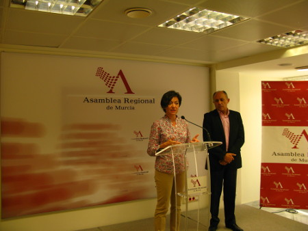 PonenciaLeyElect-Severa