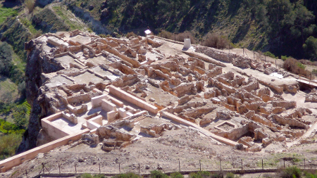 Siyasa