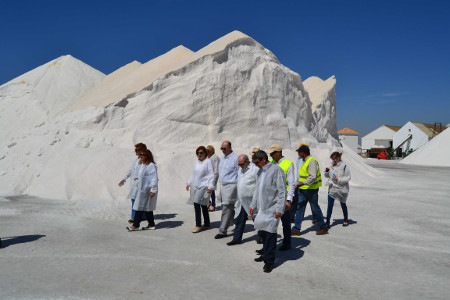 visita-ComisionSalinas