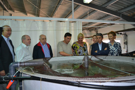 visita-ComisionSalinas2