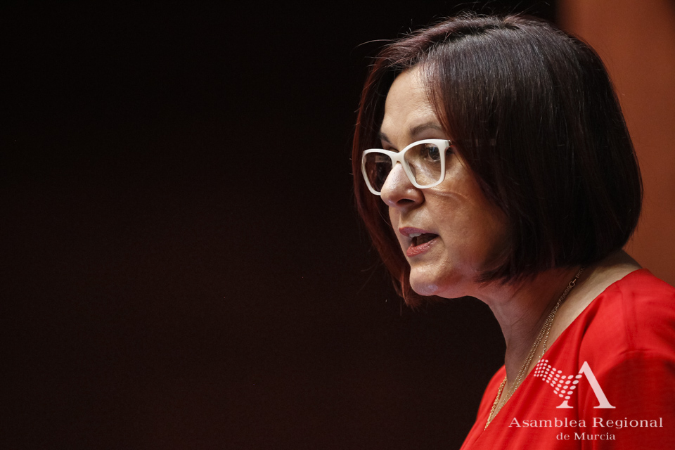 Isabel Franco, portavoz de Ciudadanos Partido de la Ciudadanía, durante el Debate de Investidura