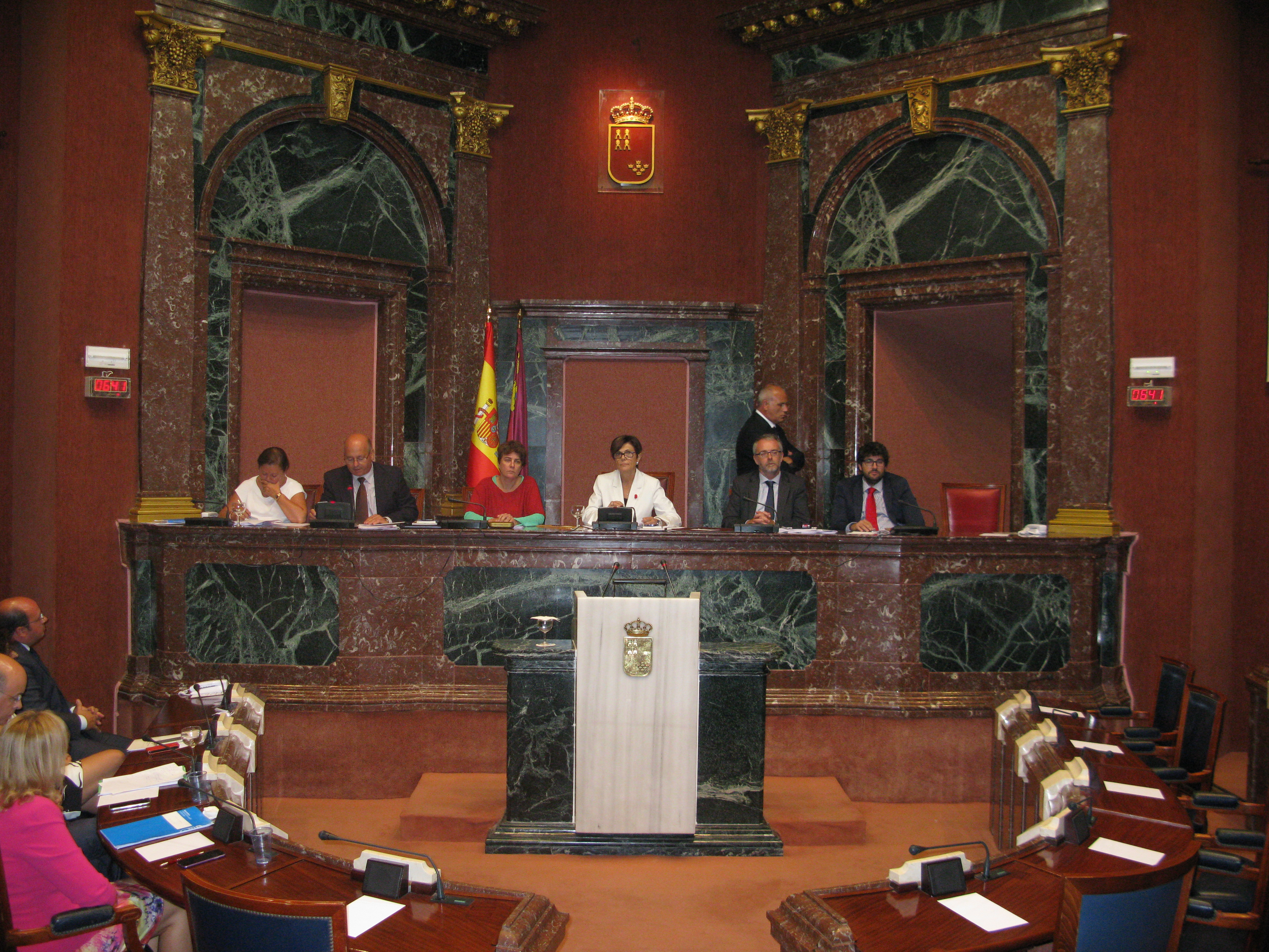 Lectura de la declaración institucional en Sesión Plenaria