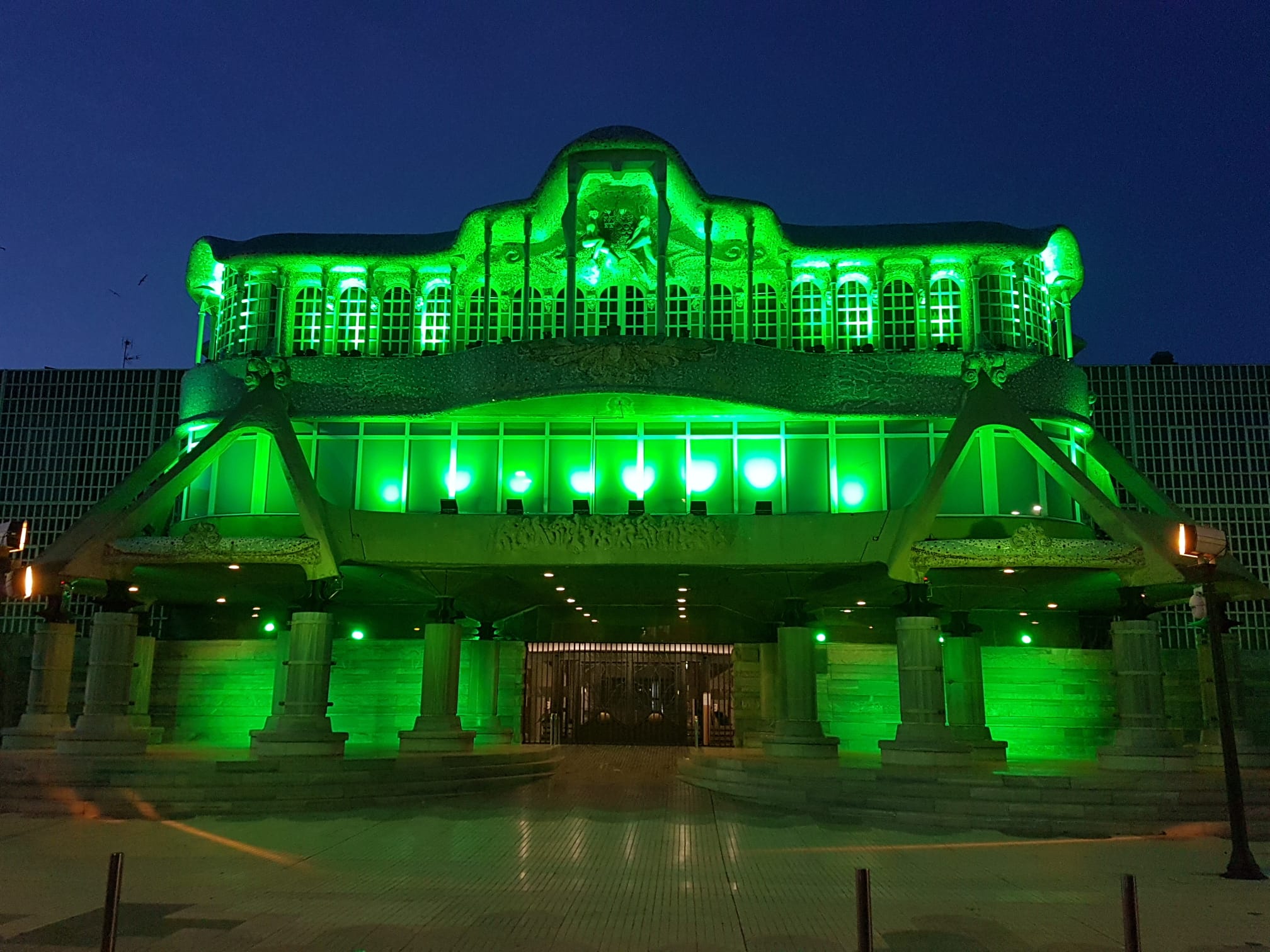 La fachada principal de la Asamblea Regional se ha iluminado de verde, con motivo del Día Mundial de las Enfermedades Raras