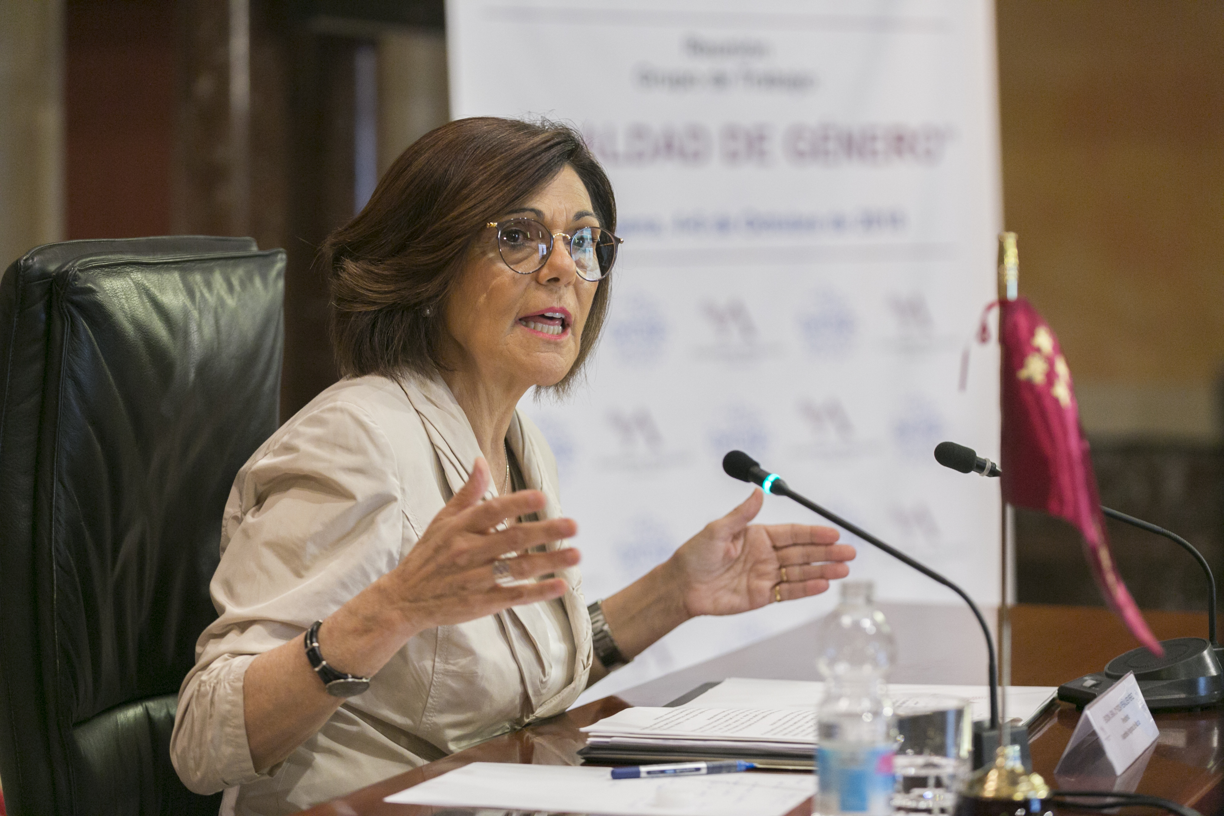 Reunión del Grupo de Igualdad de Género de CALRE para abordar las conclusiones