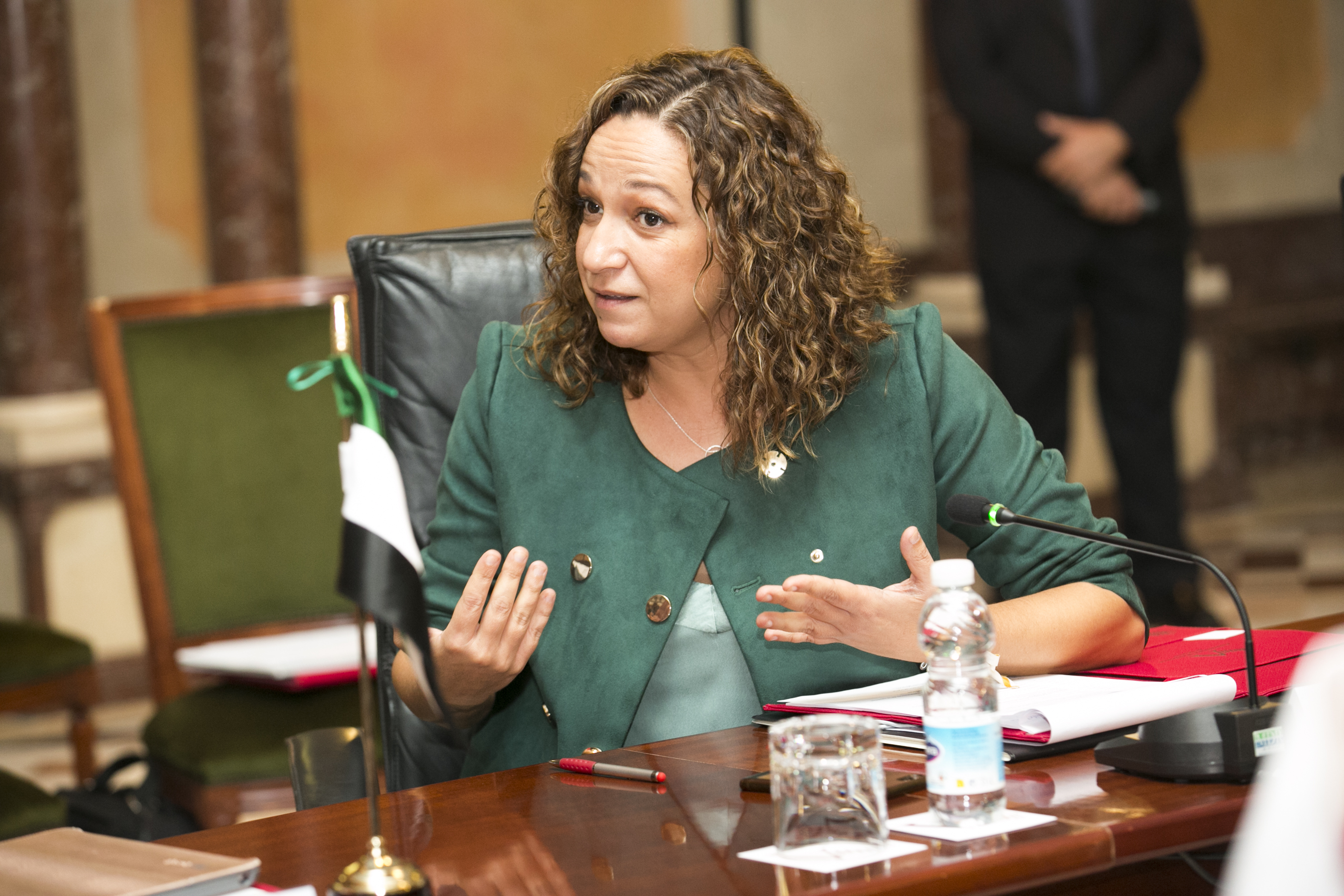 Isabel Casalduero, presidenta de la Comisión Especial contra Discriminación y Violencia de Género de la Asamblea