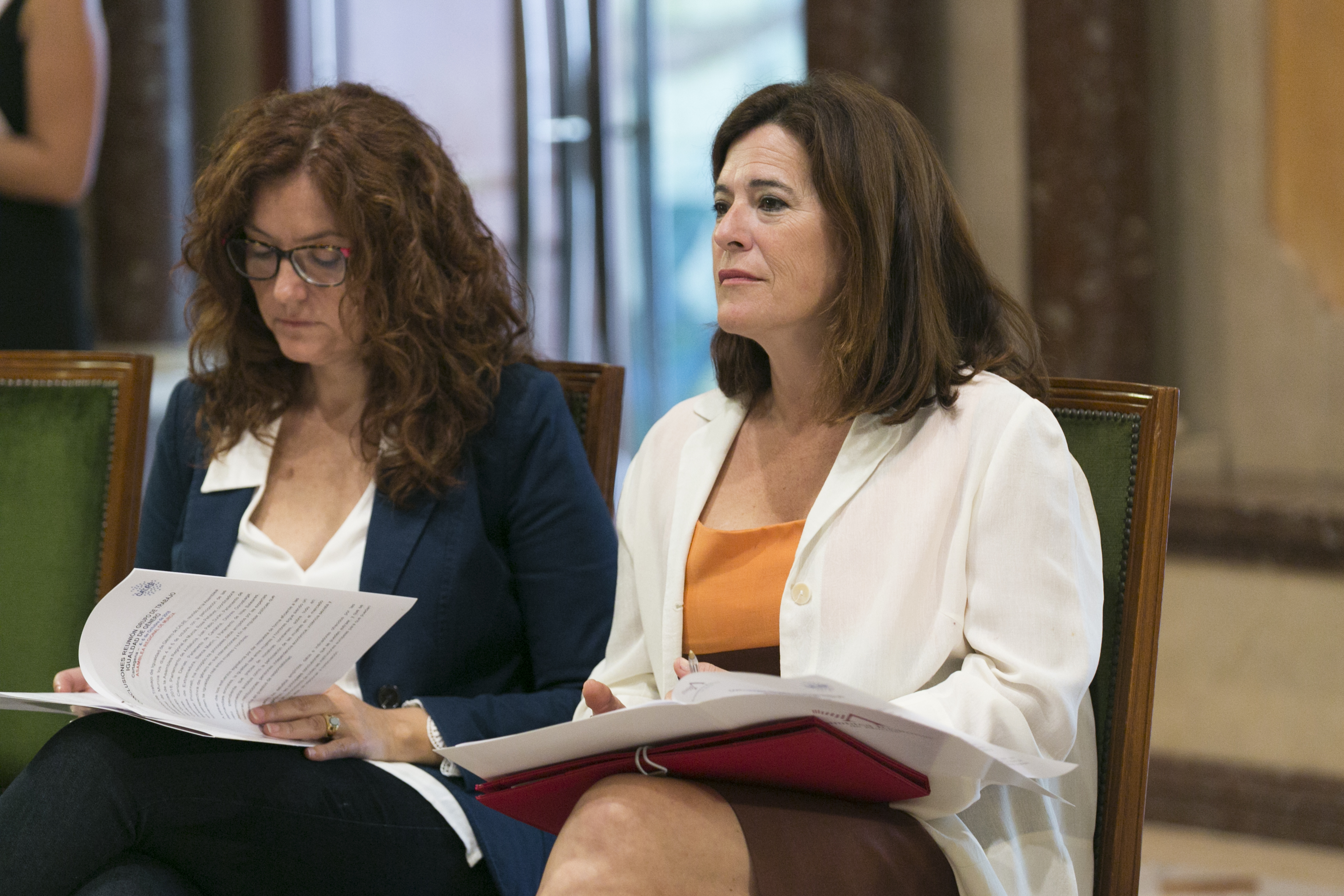Reunión del Grupo de Igualdad de Género de CALRE para abordar las conclusiones