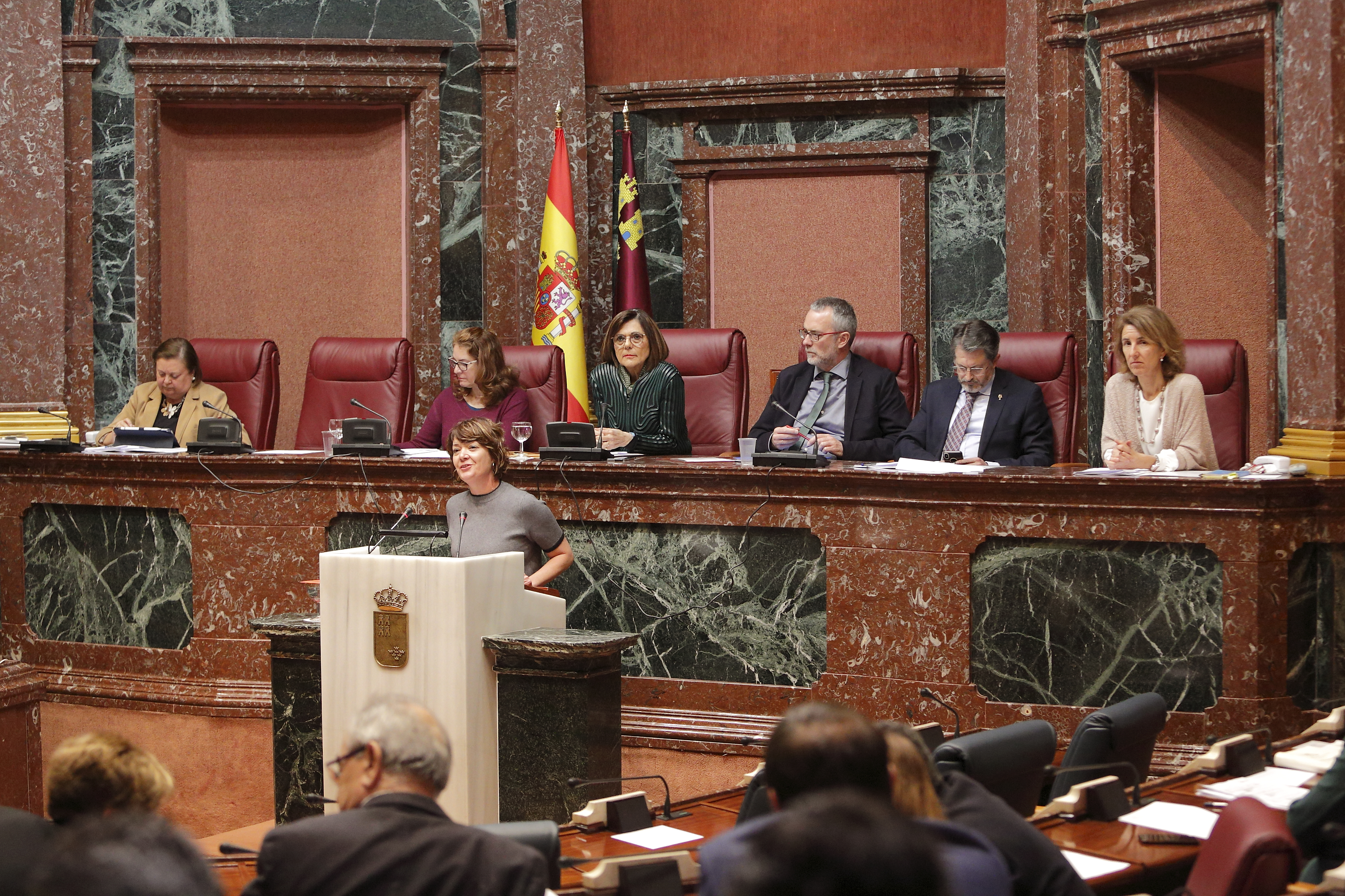 Última sesión plenaria del periodo ordinario de la IX Legislatura