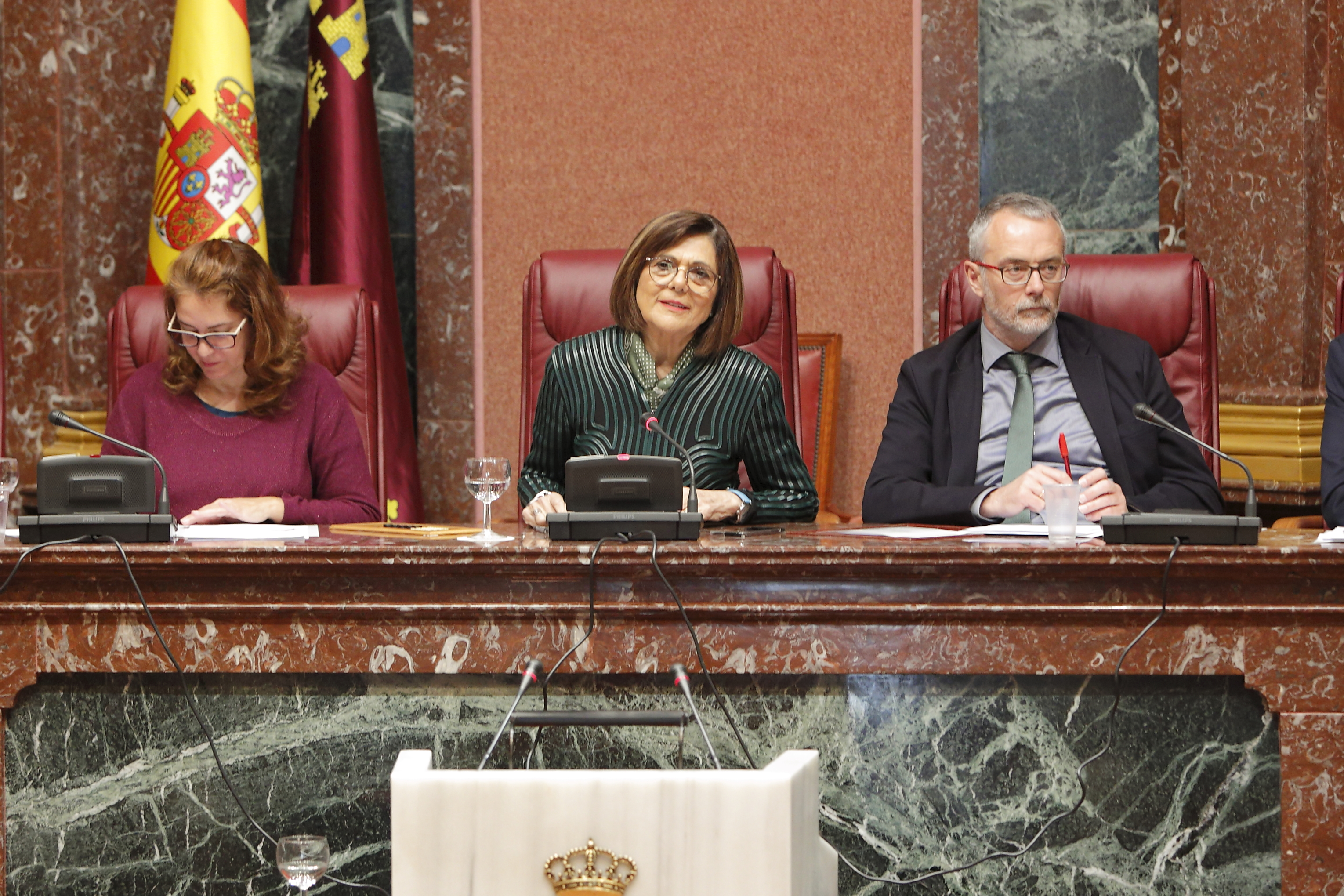 Última sesión plenaria del periodo ordinario de la IX Legislatura