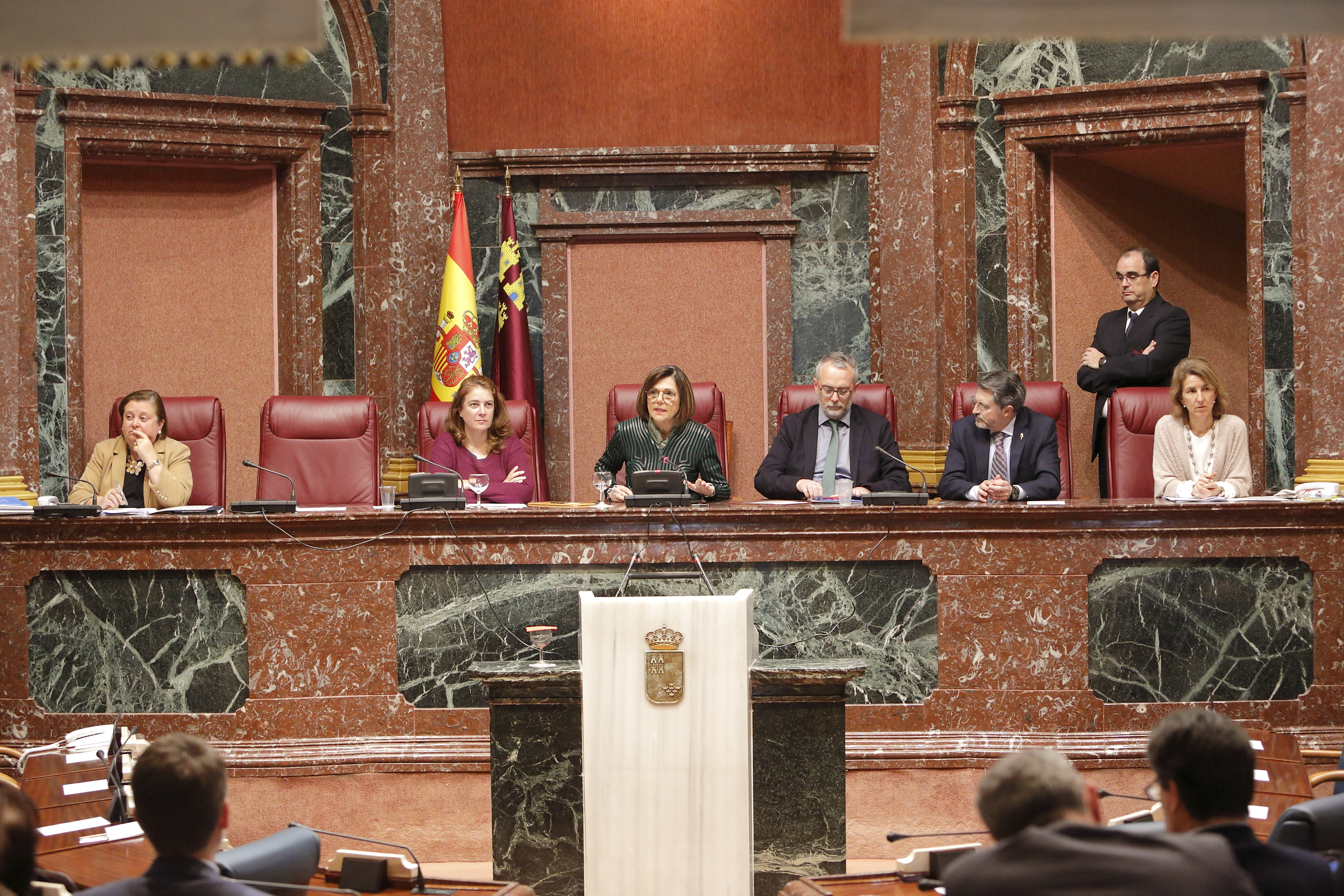 Última sesión plenaria del periodo ordinario de la IX Legislatura