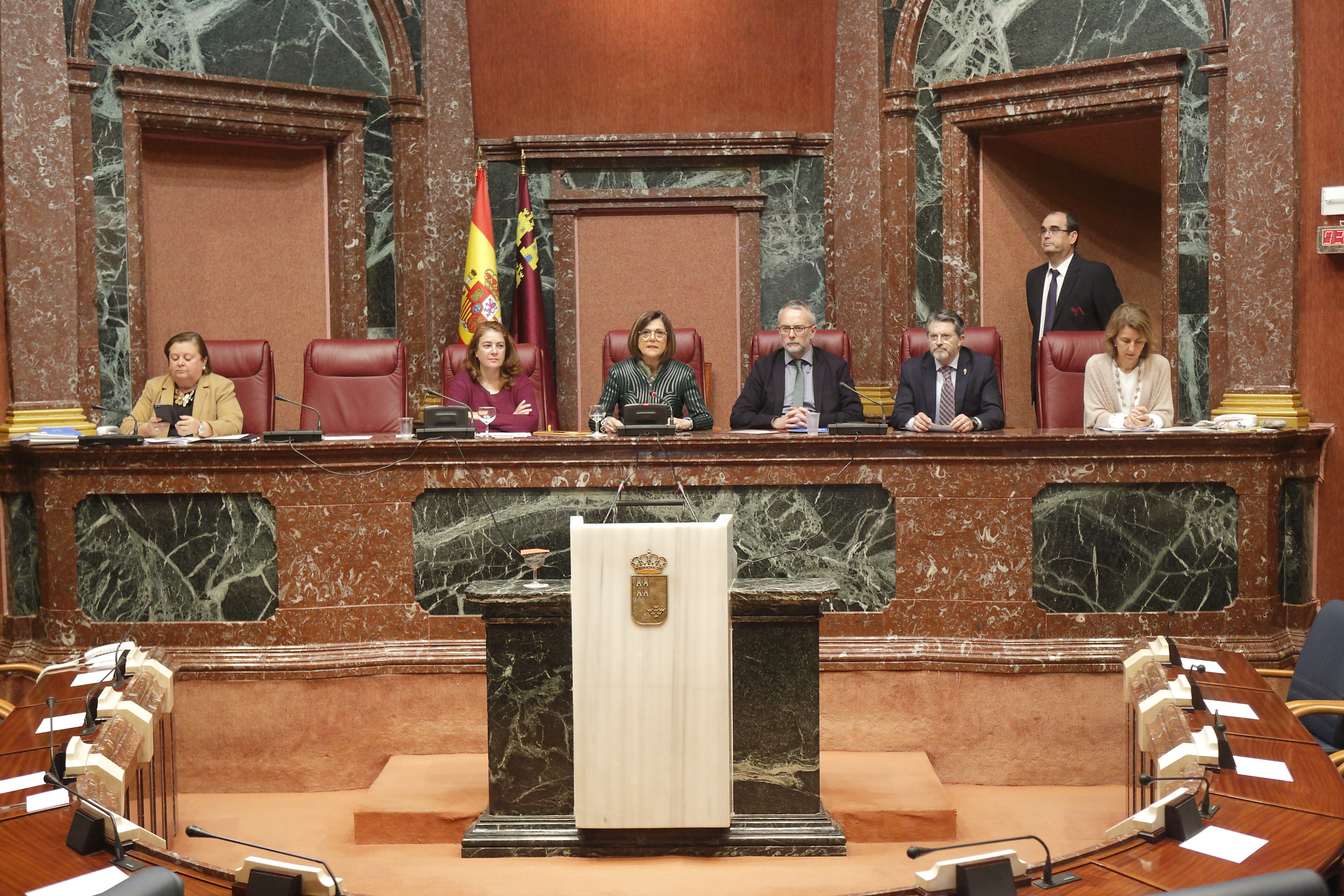 Última sesión plenaria del periodo ordinario de la IX Legislatura