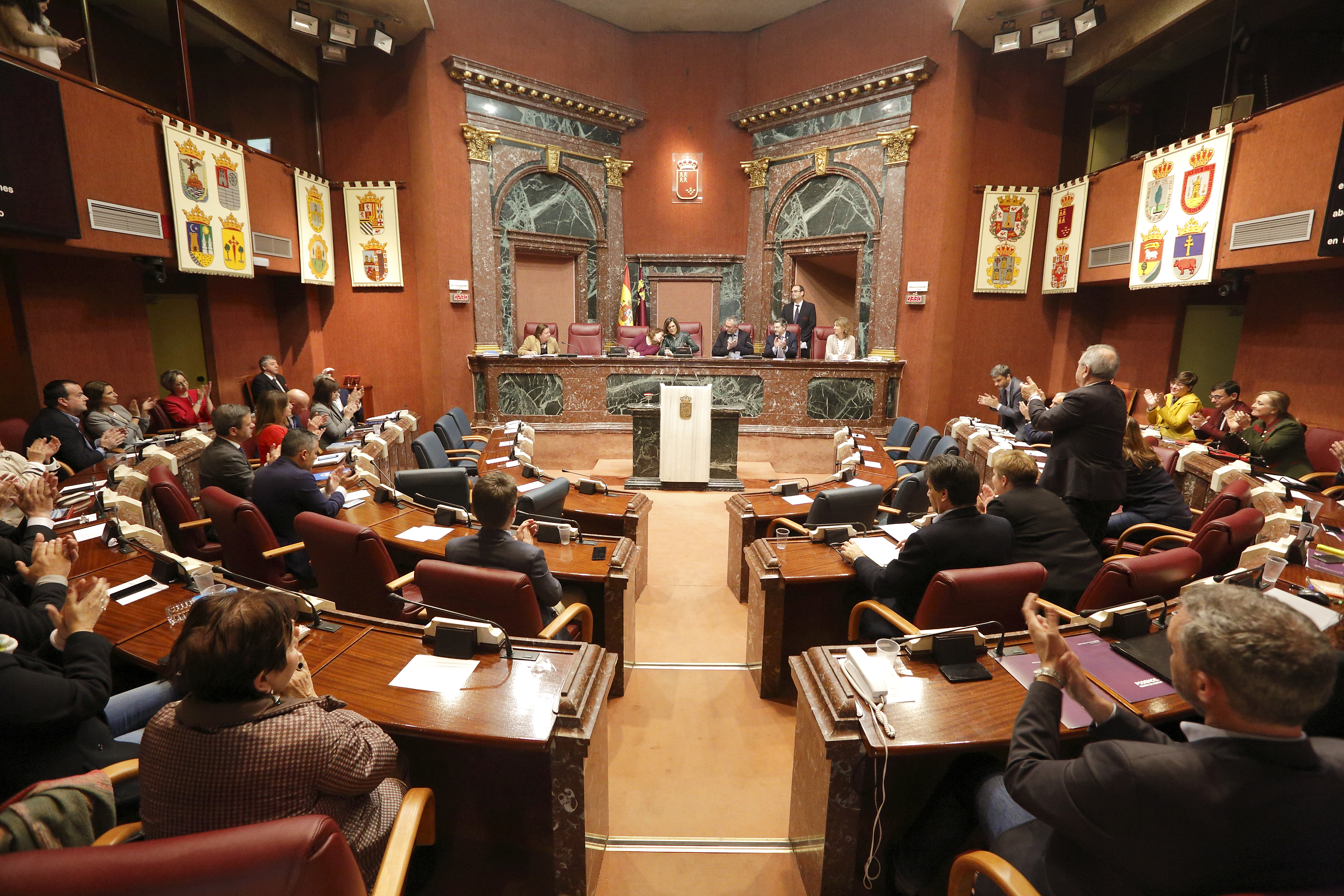 Última sesión plenaria del periodo ordinario de la IX Legislatura