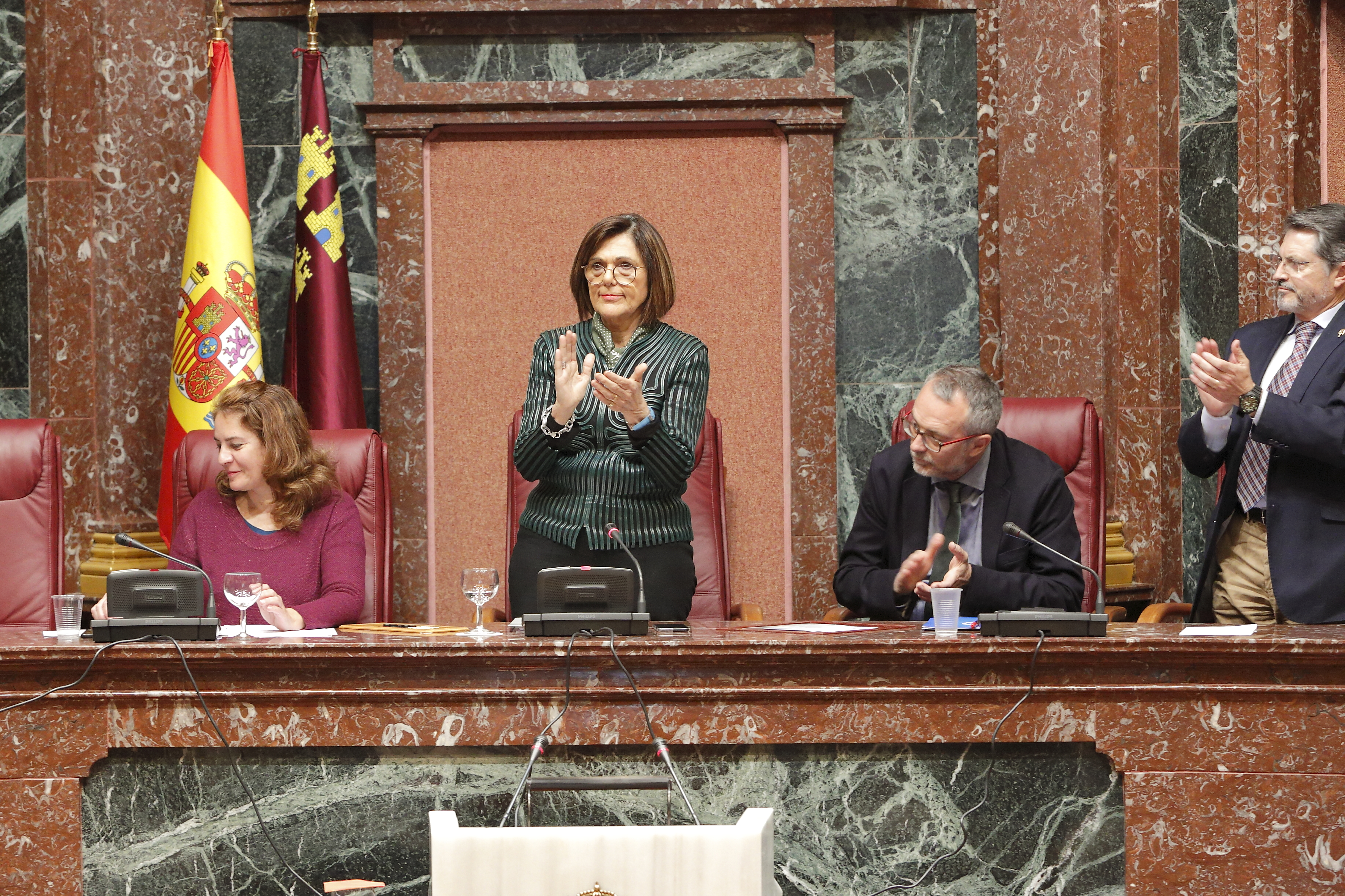 Última sesión plenaria del periodo ordinario de la IX Legislatura