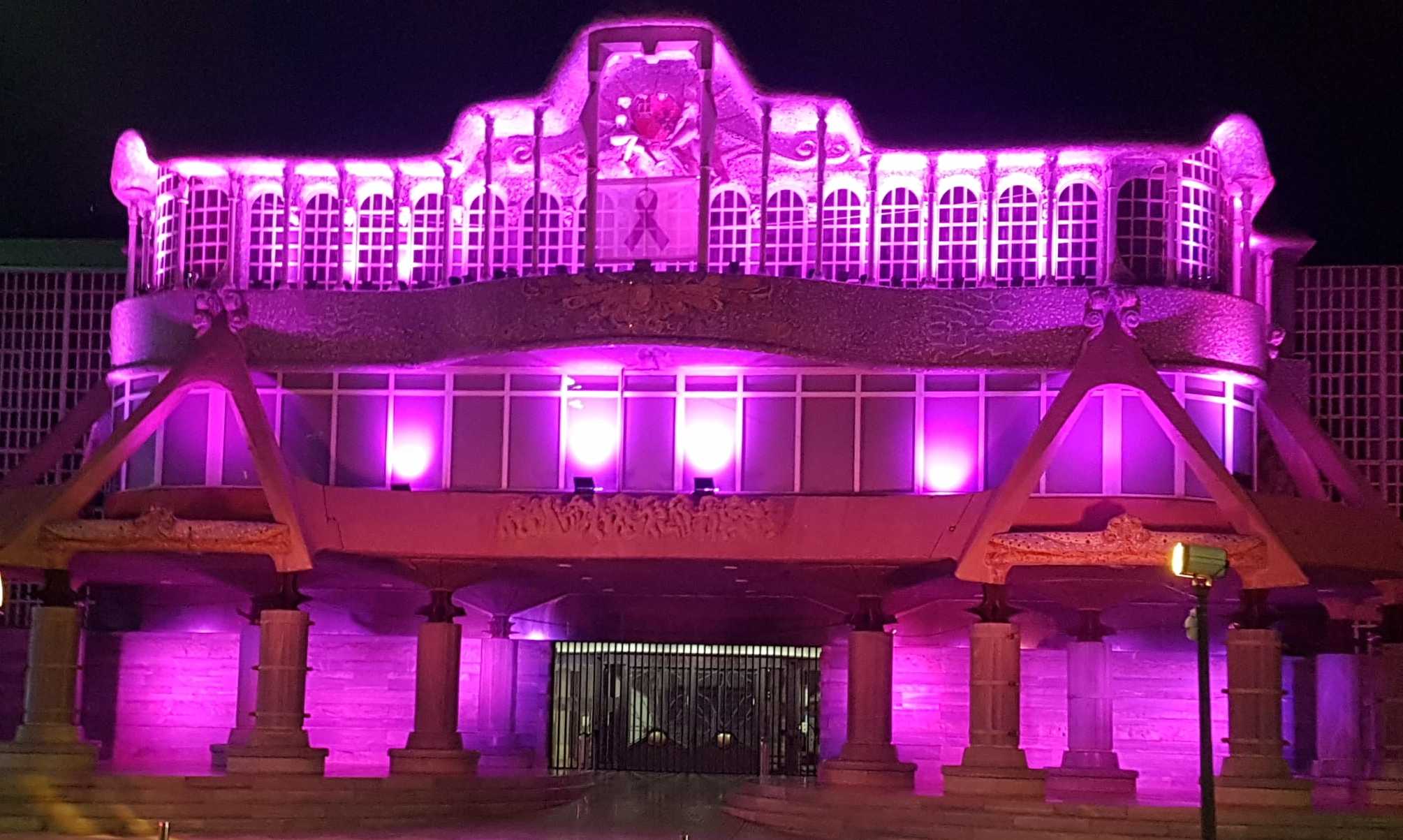 La Asamblea se ilumina de morado para conmemorar el Día Internacional de la Eliminación de la Violencia contra la Mujer