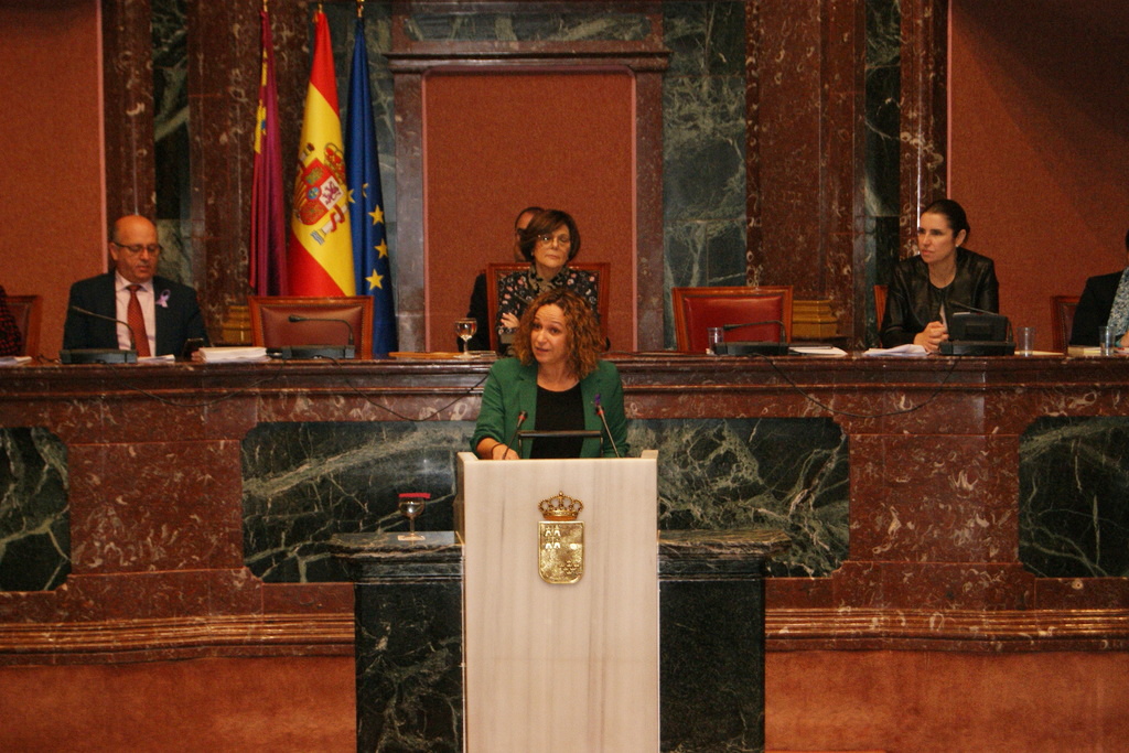 Isabel Casalduero defiende en su moción la Aprobación de un Plan Regional de Igualdad de Oportunidades