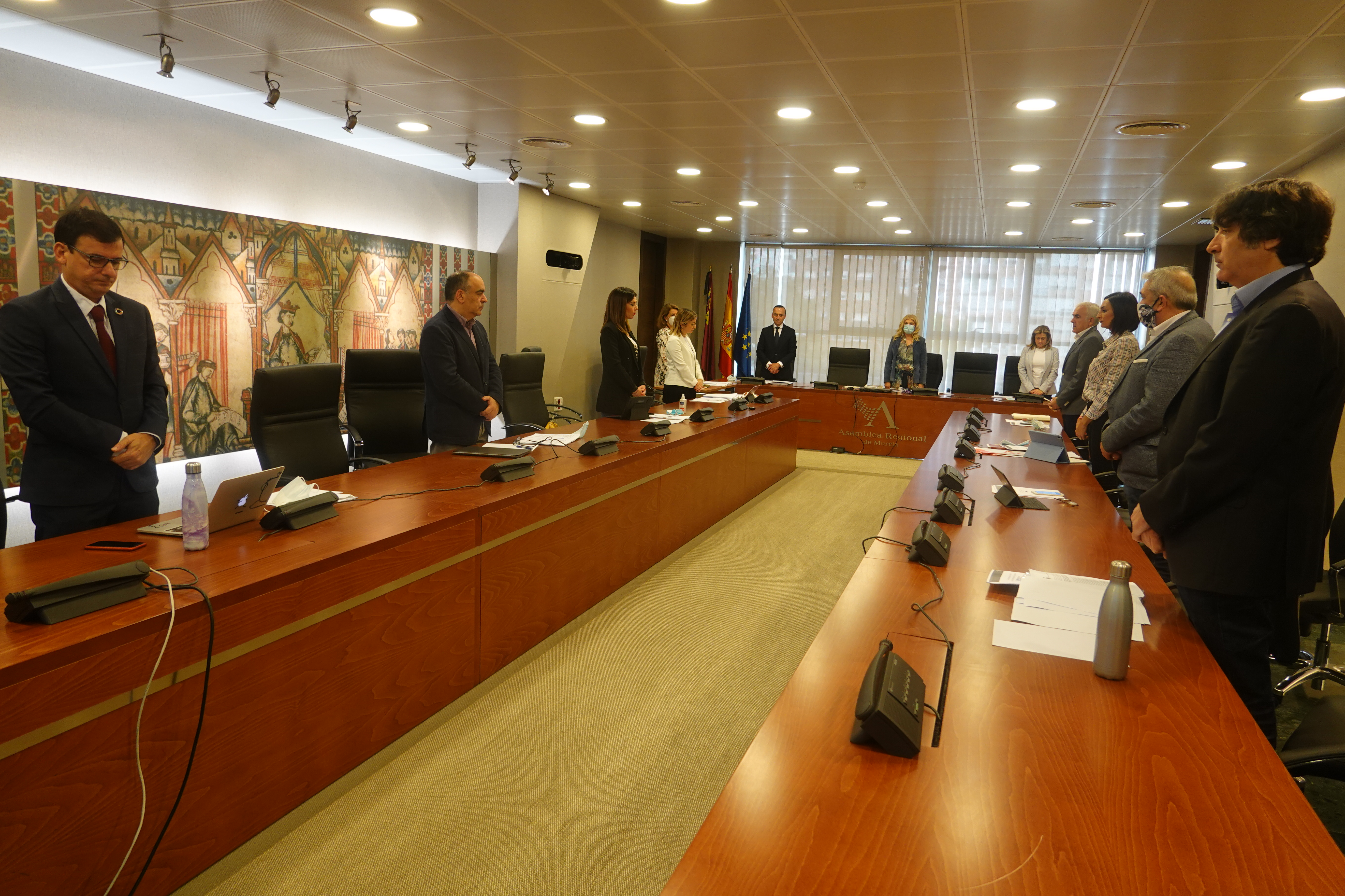 Antes del inicio de la Comisión se ha guardado un minuto de silencio en memoria de las víctimas de la covid 19