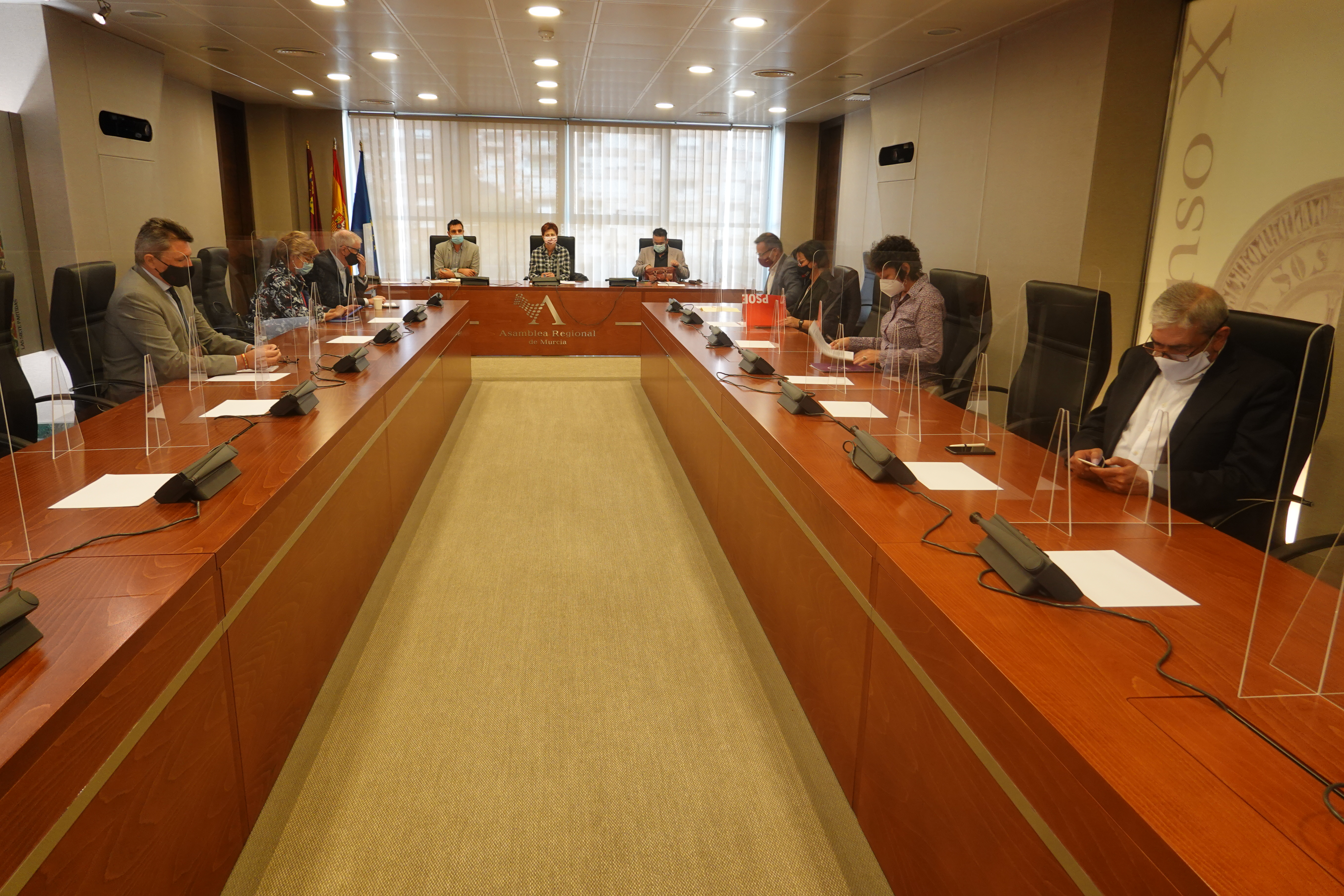Comparecencia de la EAPN ante la Comisión especial sobre un Plan de Reactivación Económica y Social