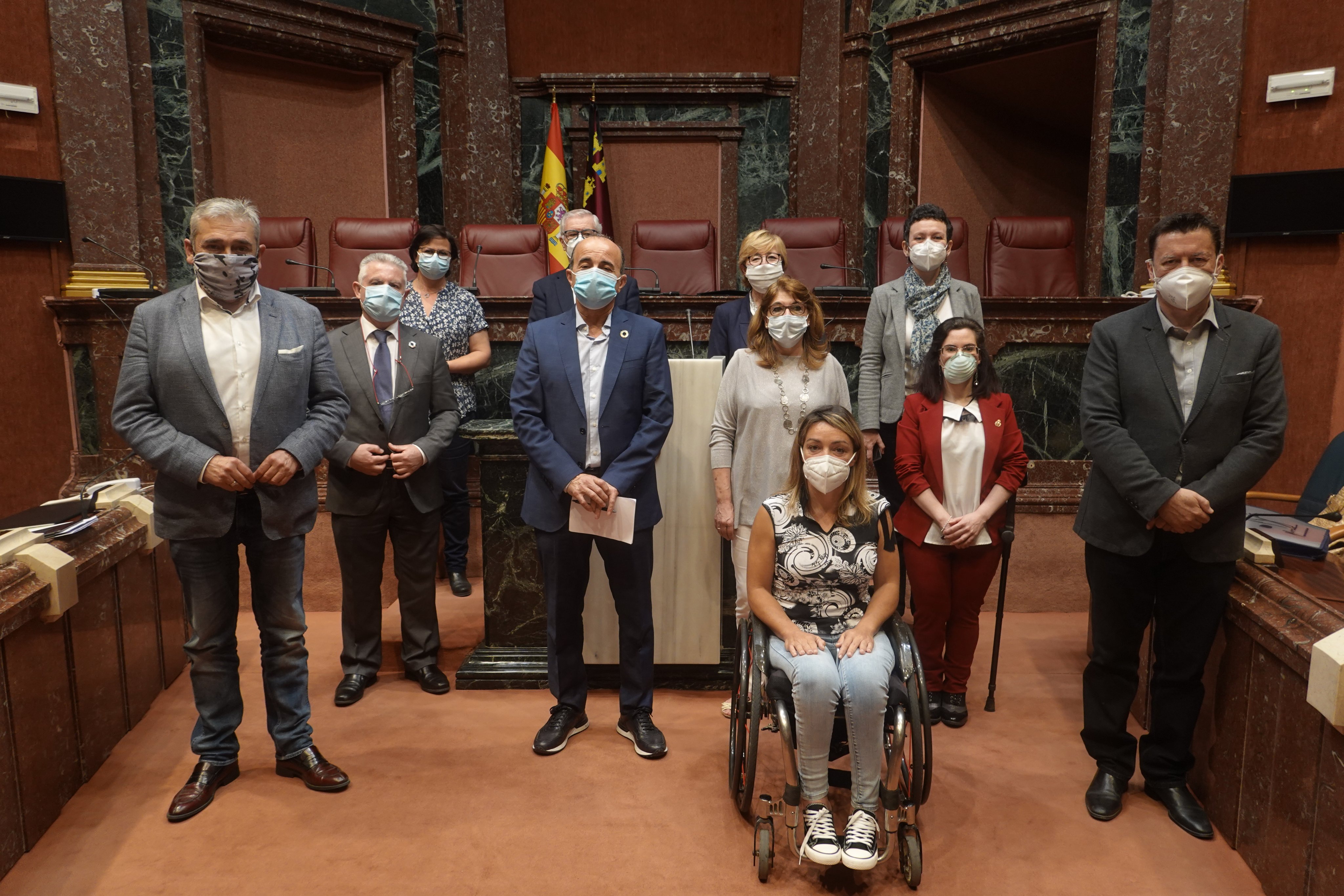 Los miembros de la Comisión especial de Discapacidad
