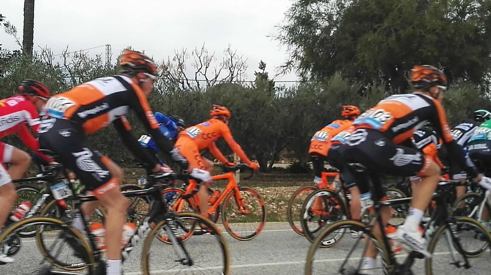 Vuelta
