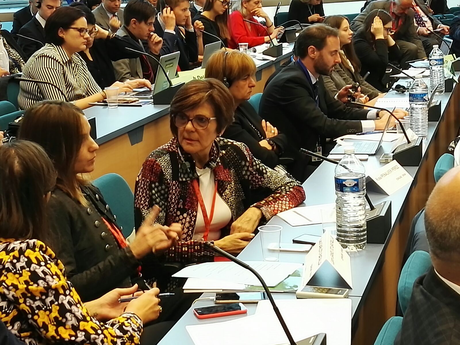 Rosa Peñalver participa en el plenario del 33 Congreso de Poderes Locales y Regionales de Europa