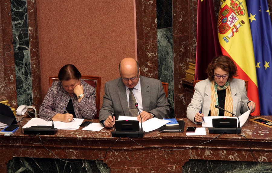 El secretario primero de la Mesa de la Cámara, Luis Francisco Fernández Martínez, ha dado lectura a la Declaración Institucional