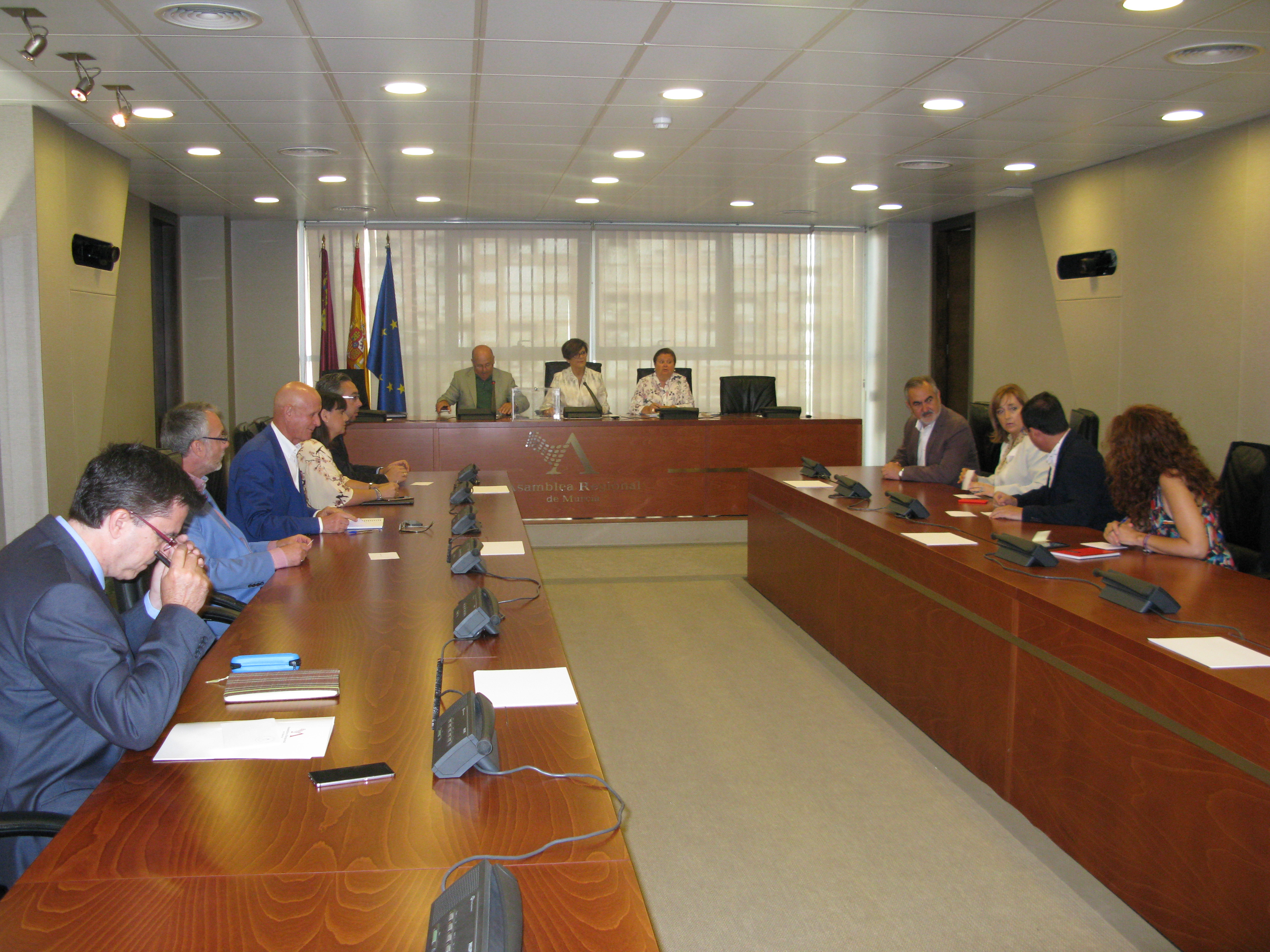 Constitución Comisión Especial de Investigación sobre el Servicio Murciano de Salud