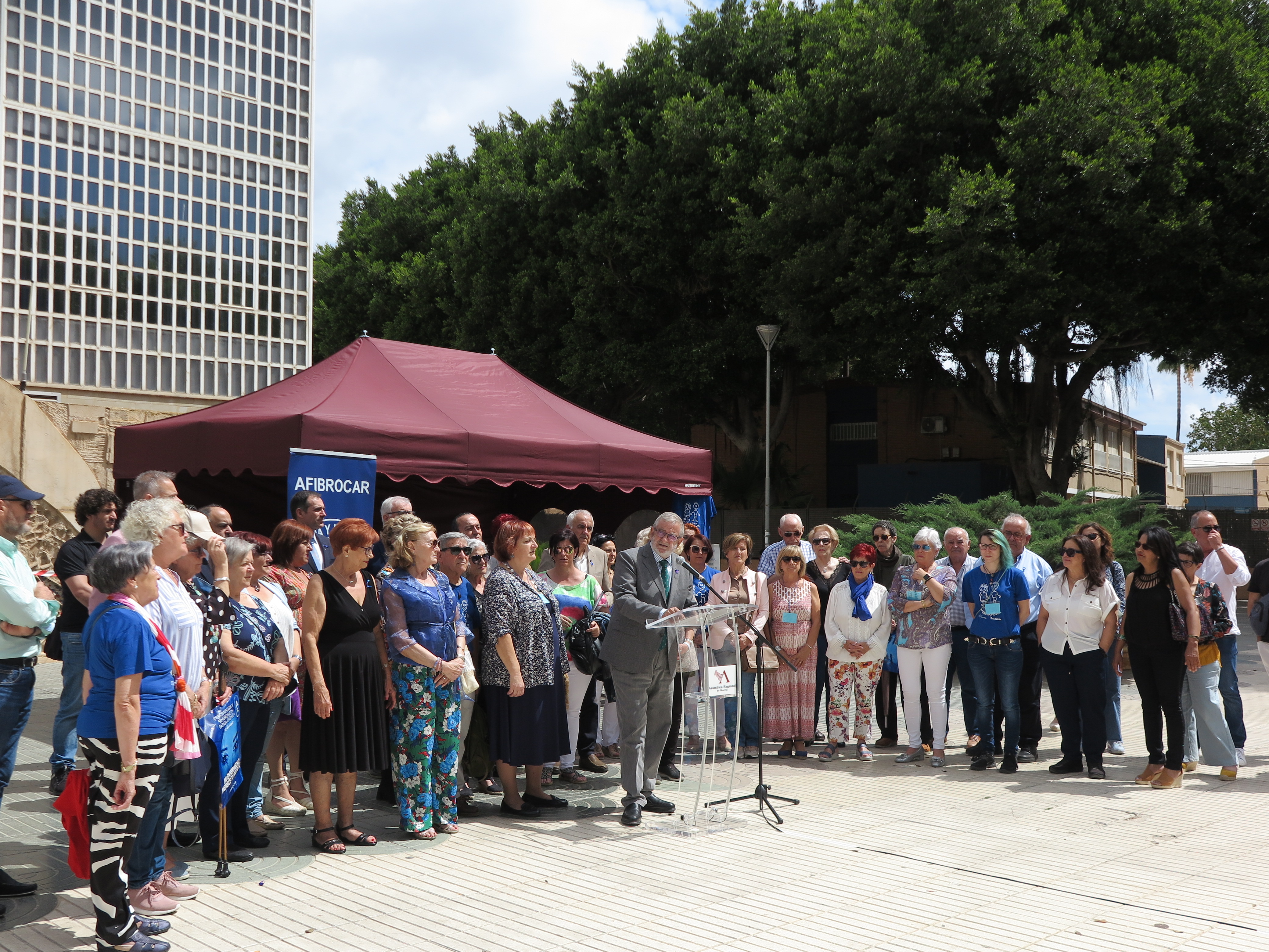 AFIBROCAR demanda equidad, accesibilidad, calidad y justicia social en el sistema público sanitario y social para las personas con fibromialgia y SFC