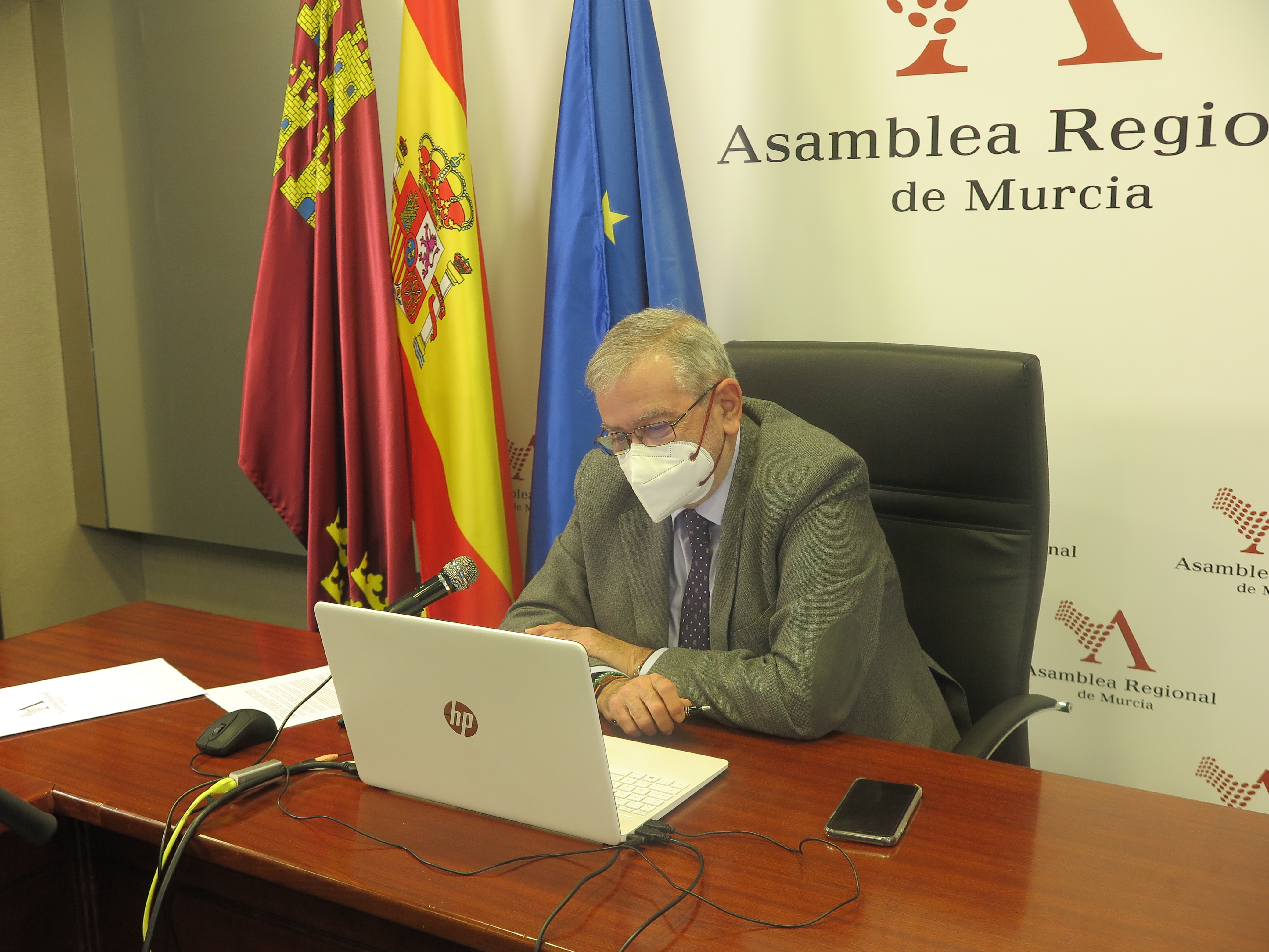 El presidente de la Asamblea Regional se reúne, por videoconferencia, con asociaciones de pacientes de Encefalomielitis Miálgica