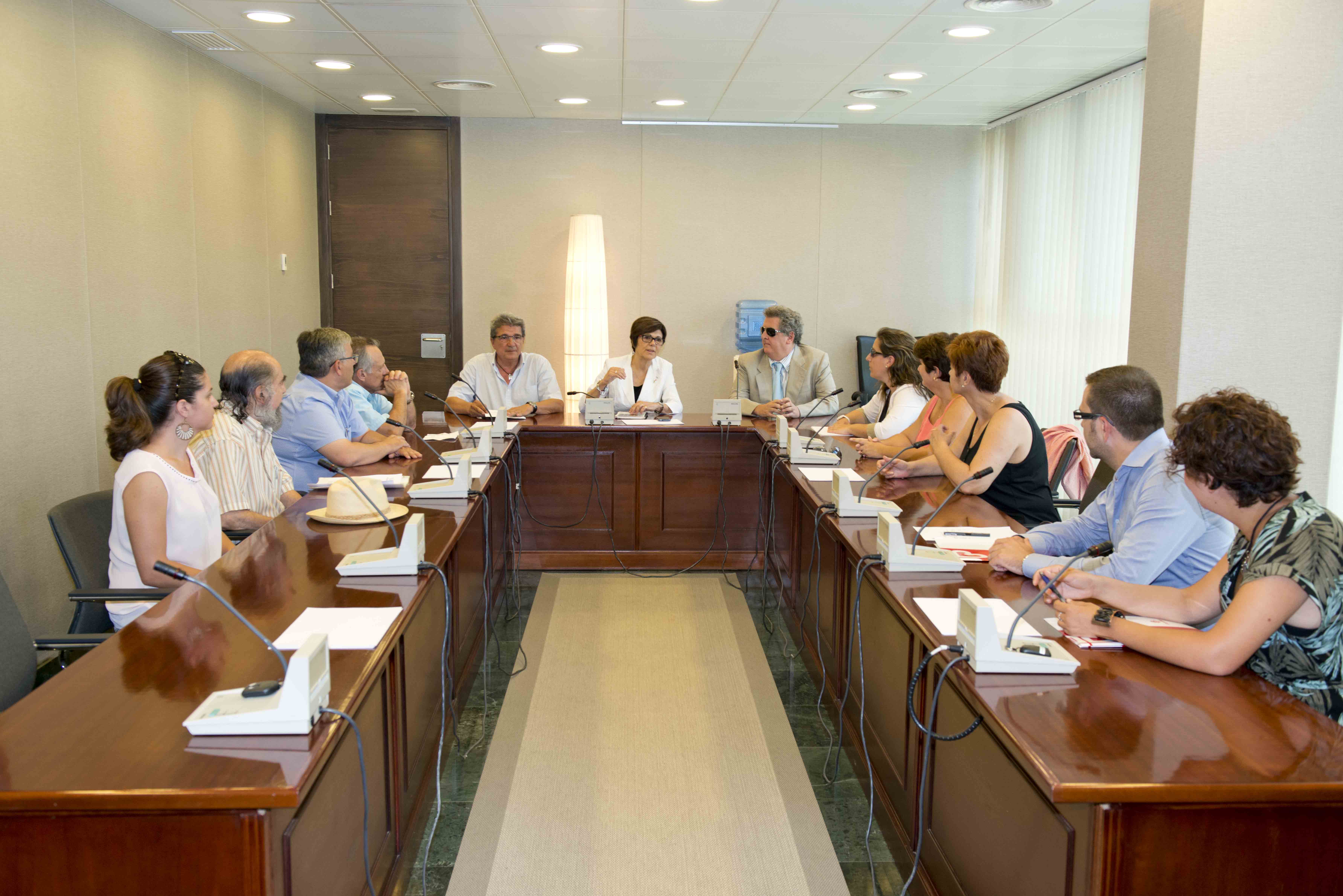 Rosa Peñalver, presidenta de la Asamblea reunida con la Plataforma del Tercer Sector