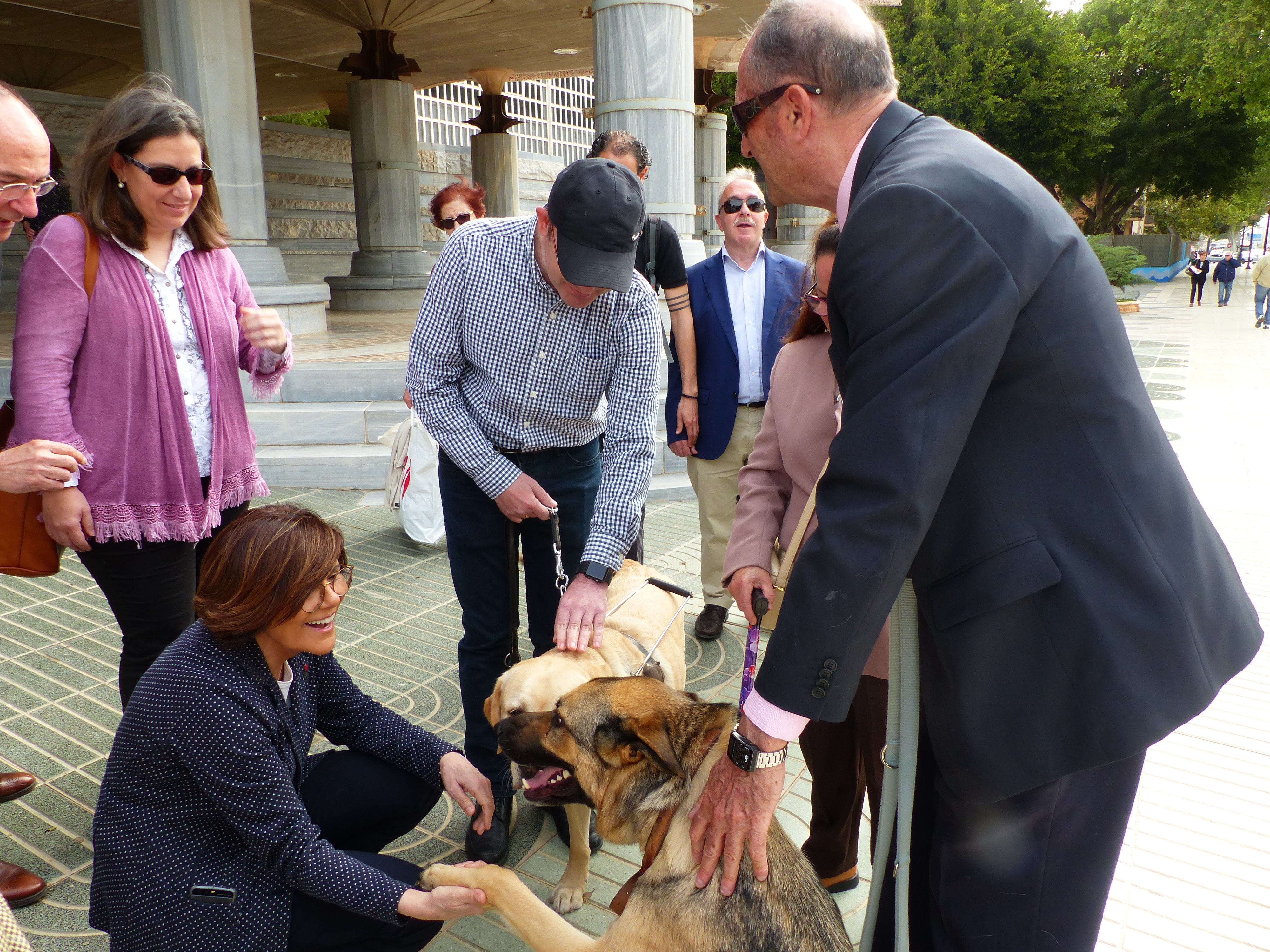 La Asamblea conmemora el Día Internacional del Perro Guía
