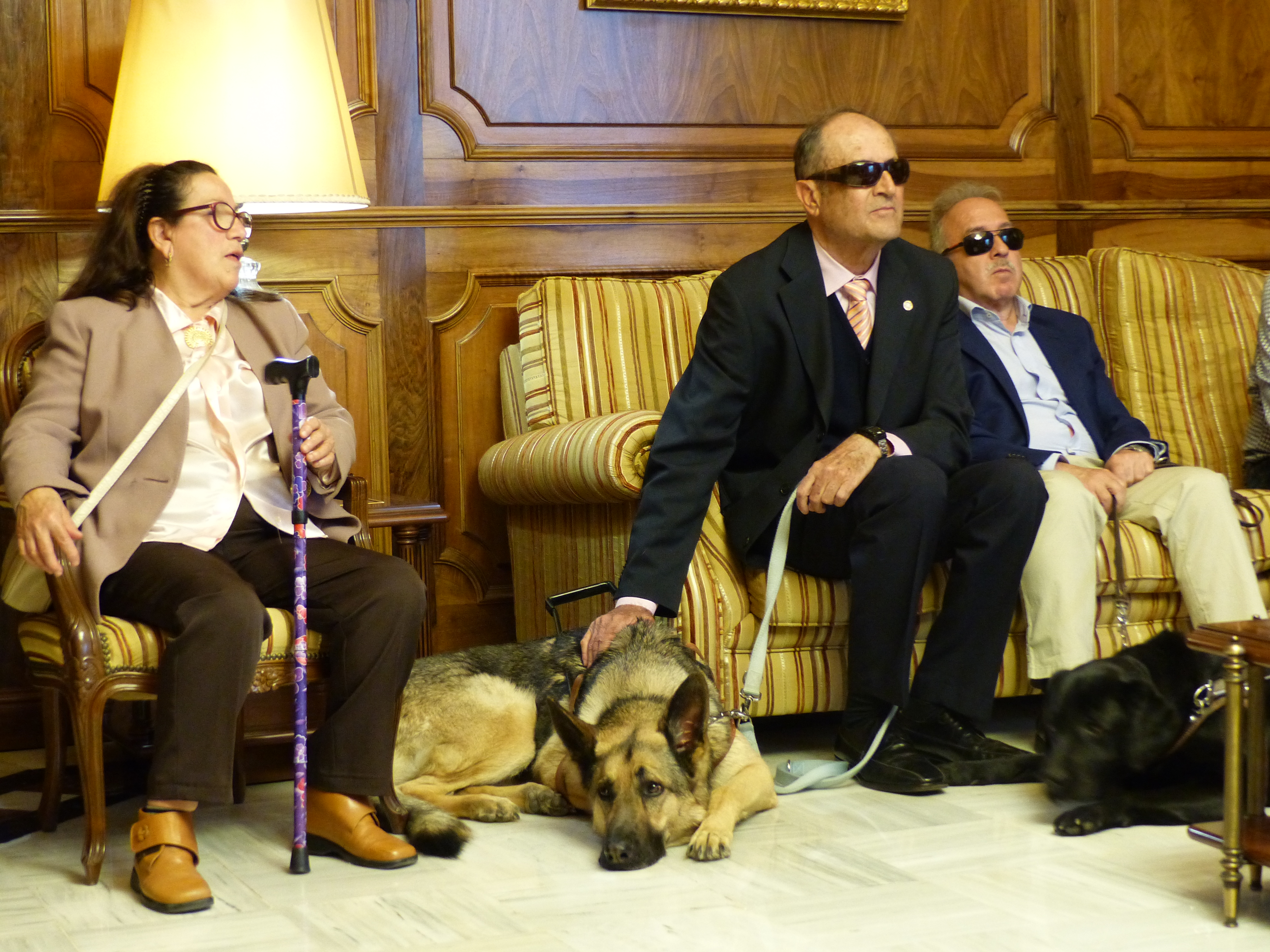 La Asamblea conmemora el Día Internacional del Perro Guía