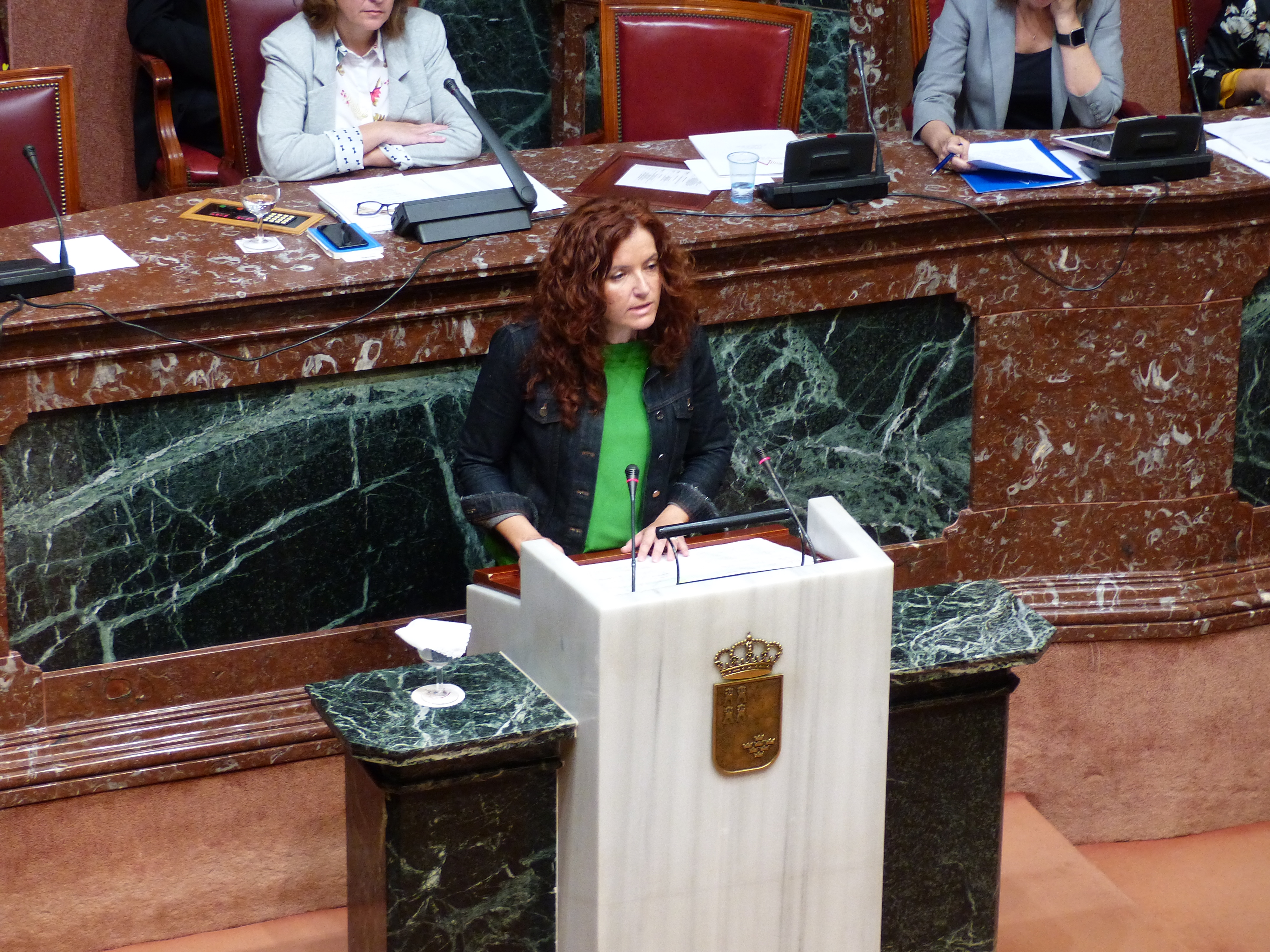 Angeles Navarro, diputada de Podemos, defiende una moción sobre medidas en relación con la interrupción voluntaria del embarazo