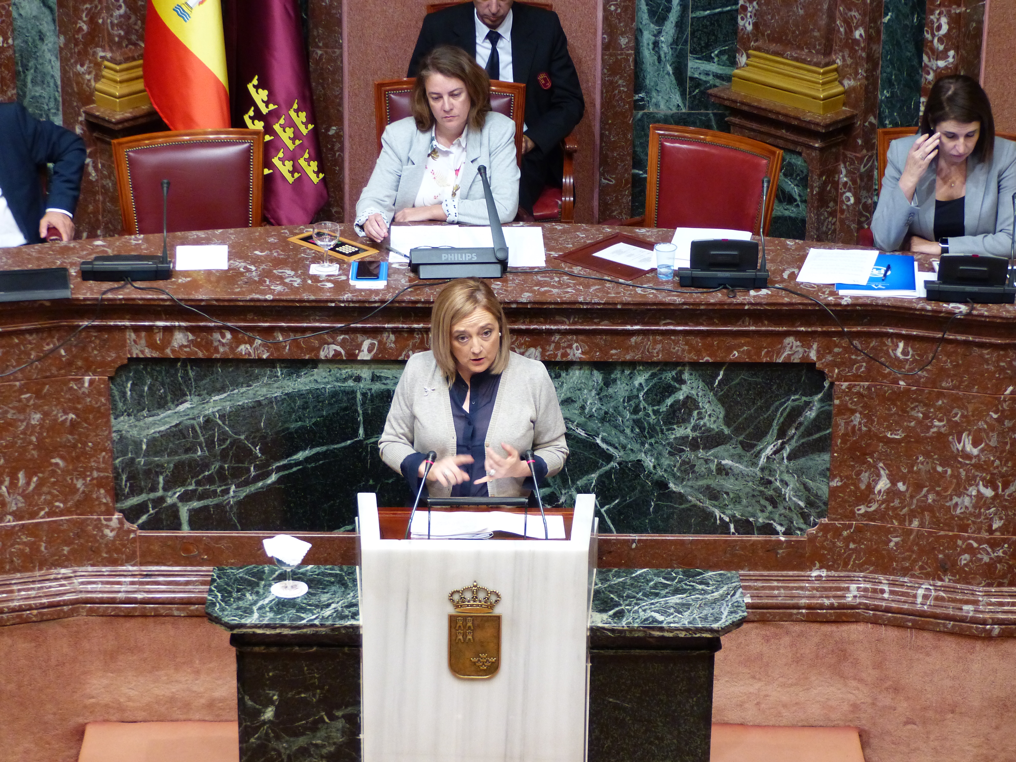 Consuelo Cano, diputada socialista, durante el debate de la moción sobre medidas en relación con la interrupción voluntaria del embarazo