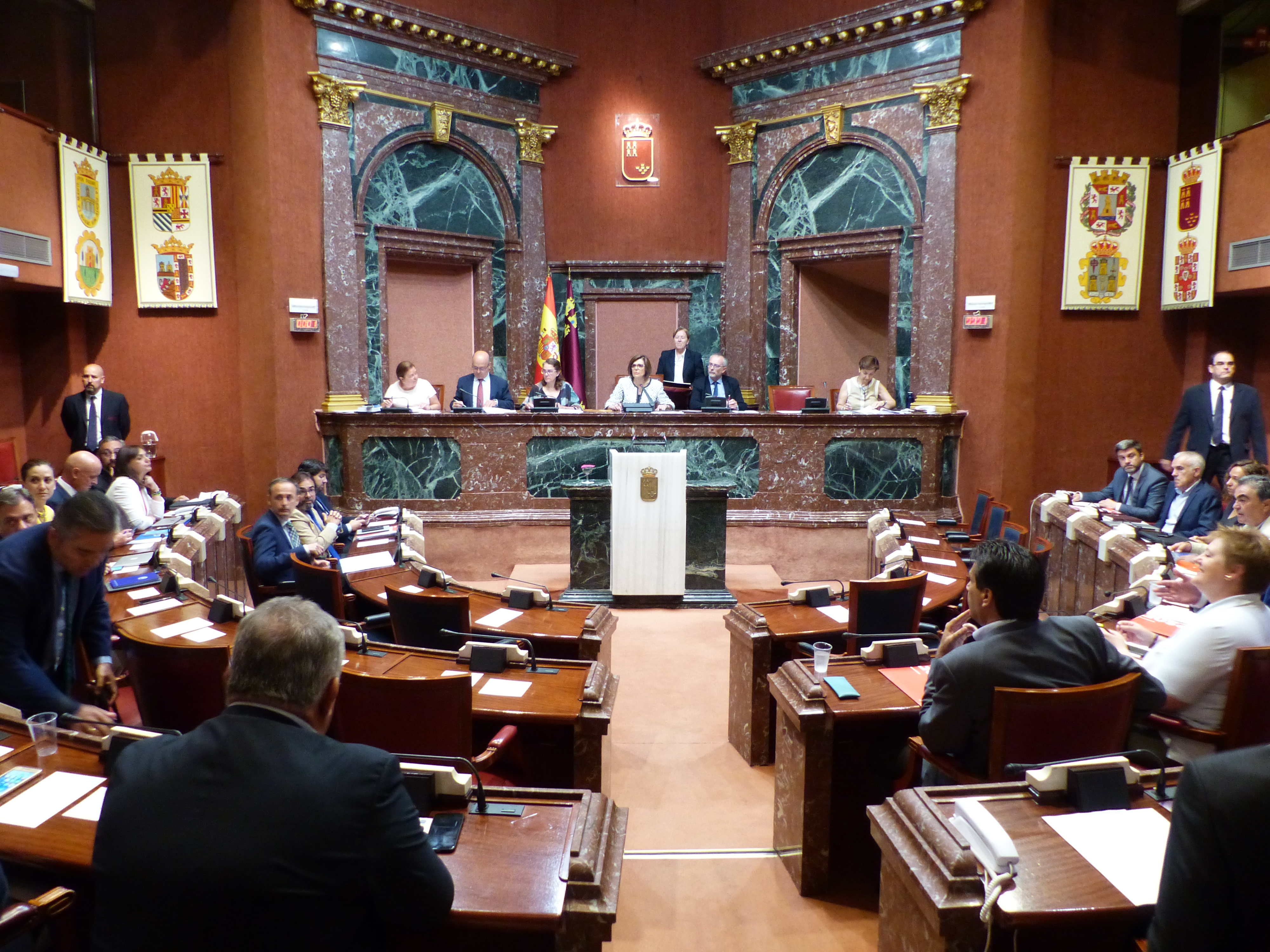 Sesión Plenaria del jueves 19 de julio