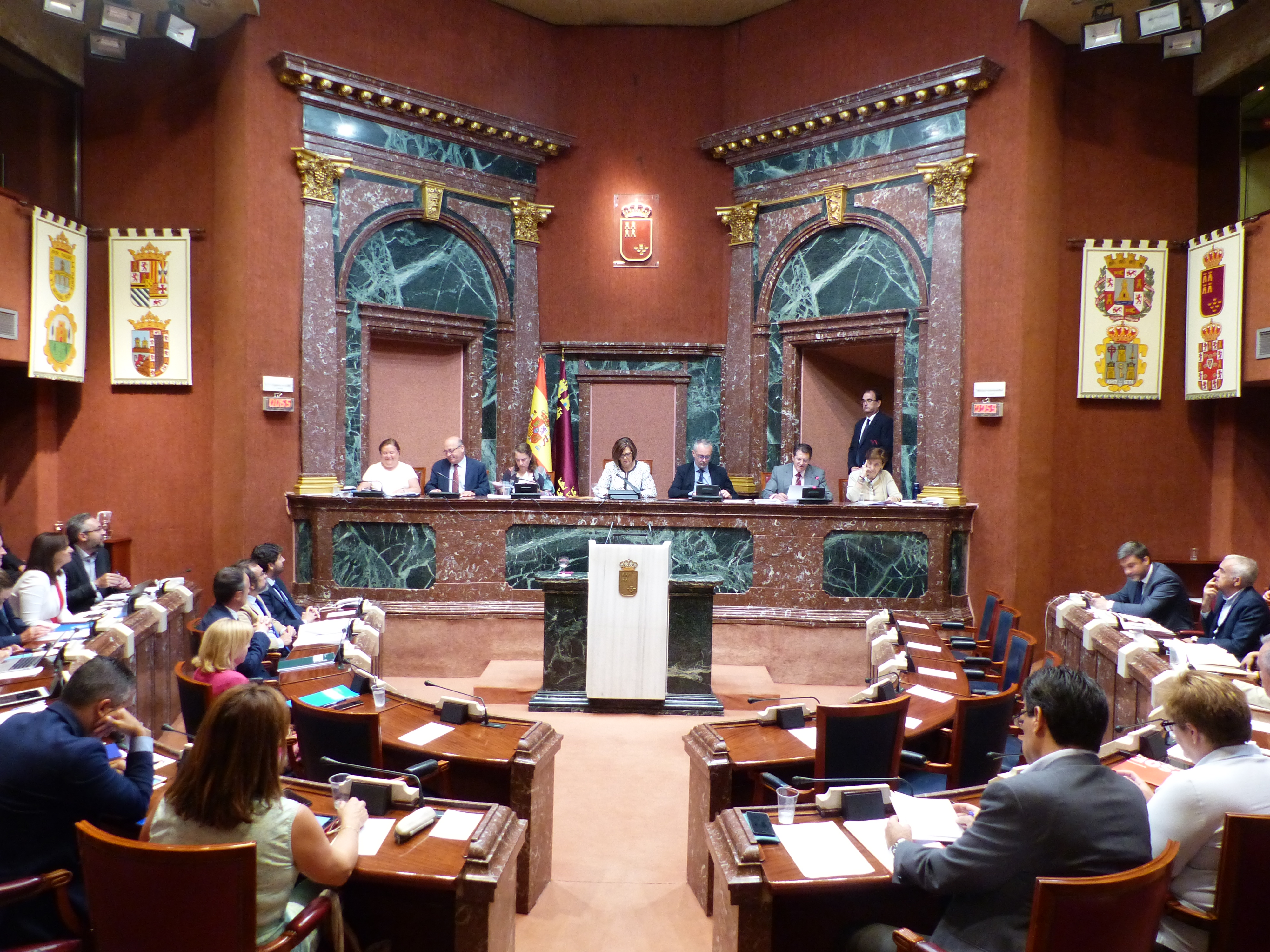Sesión Plenaria del jueves 19 de julio