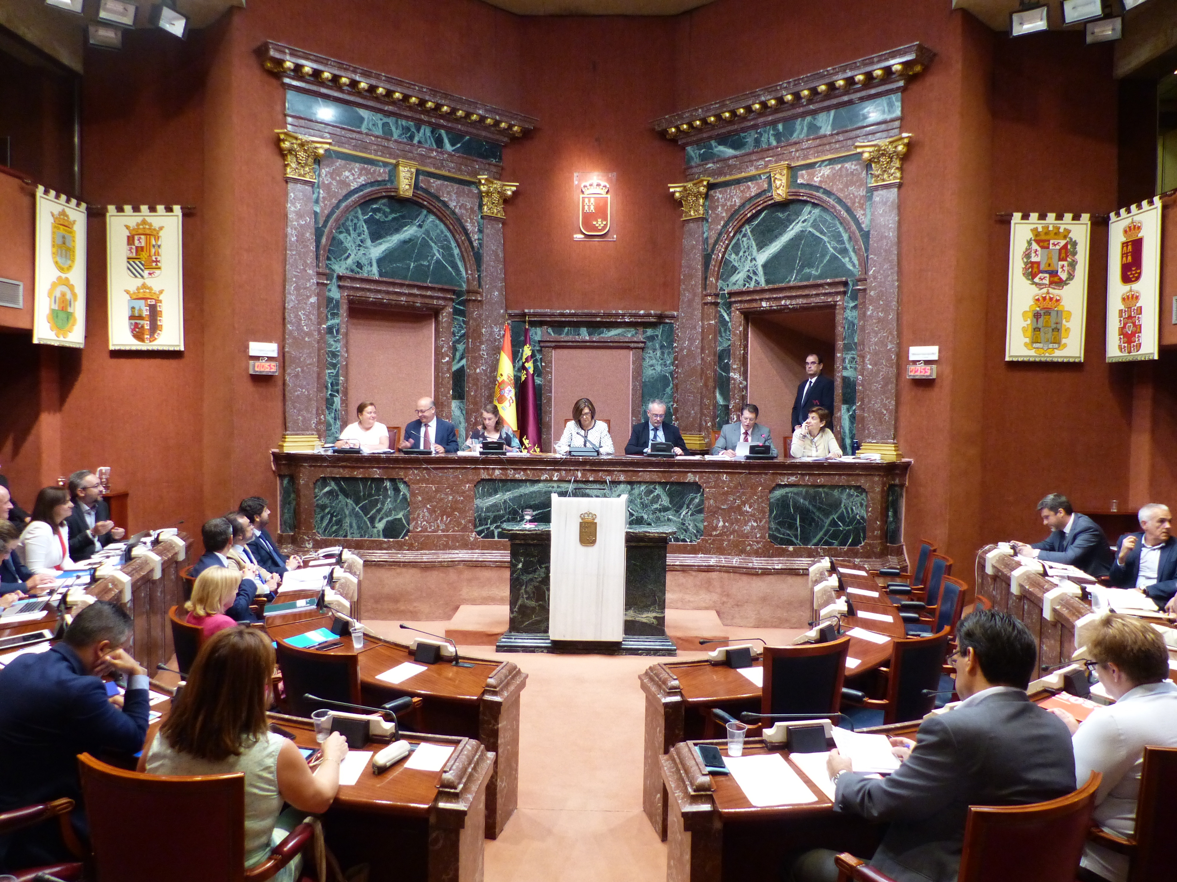Sesión Plenaria del jueves 19 de julio