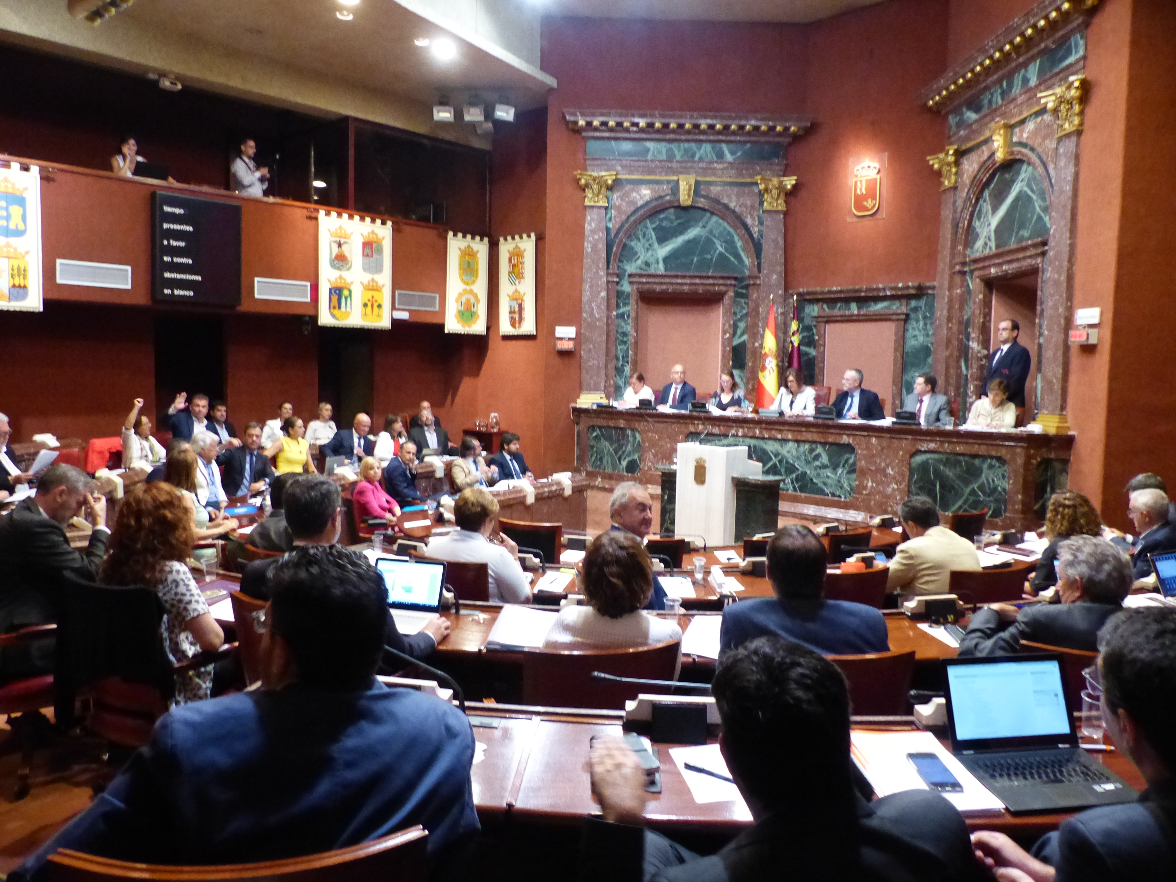 Sesión Plenaria del jueves 19 de julio