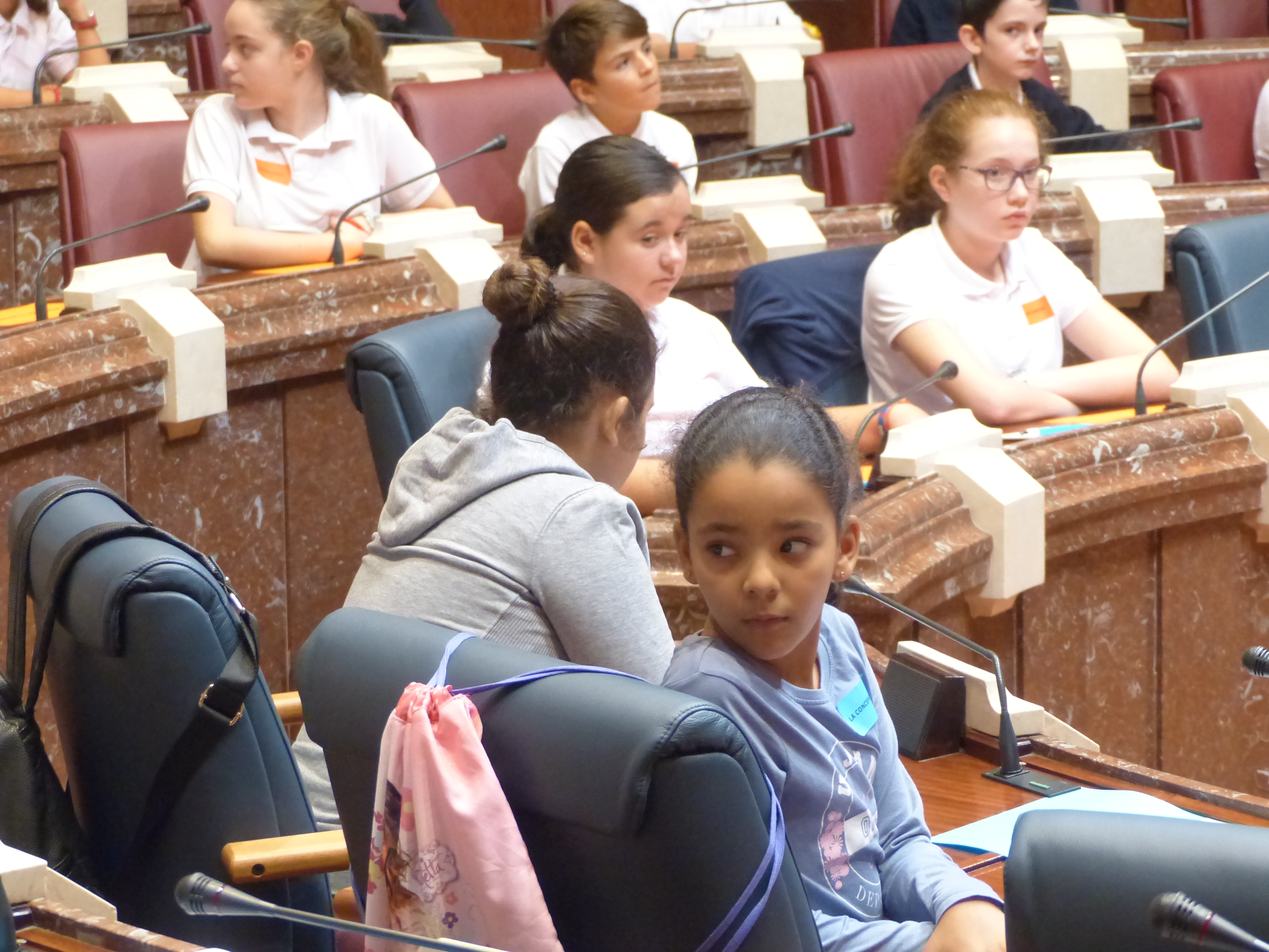 Aldeas Infantiles SOS ha celebrado en la Asamblea un pleno infantil