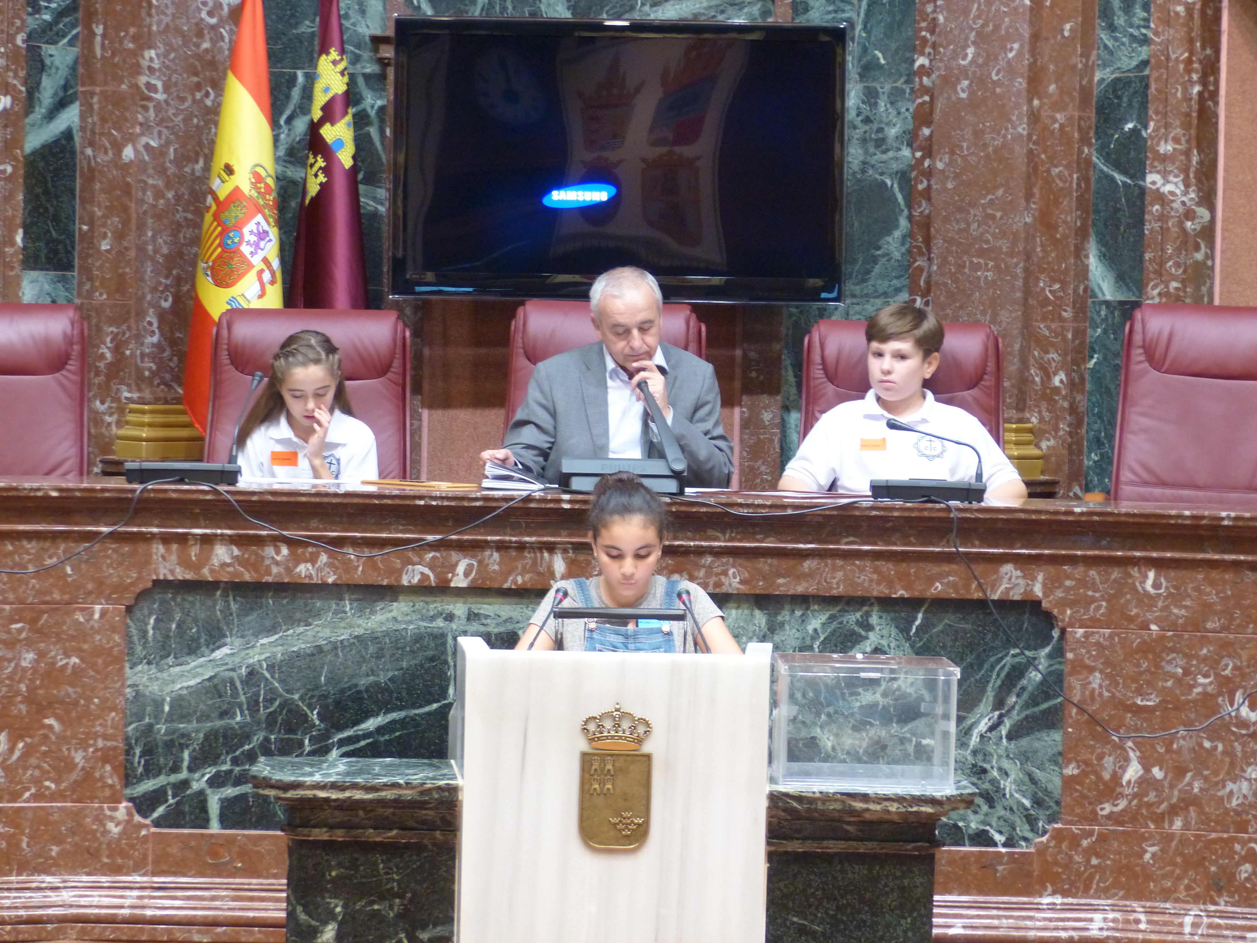 Aldeas Infantiles SOS ha celebrado en la Asamblea un pleno infantil