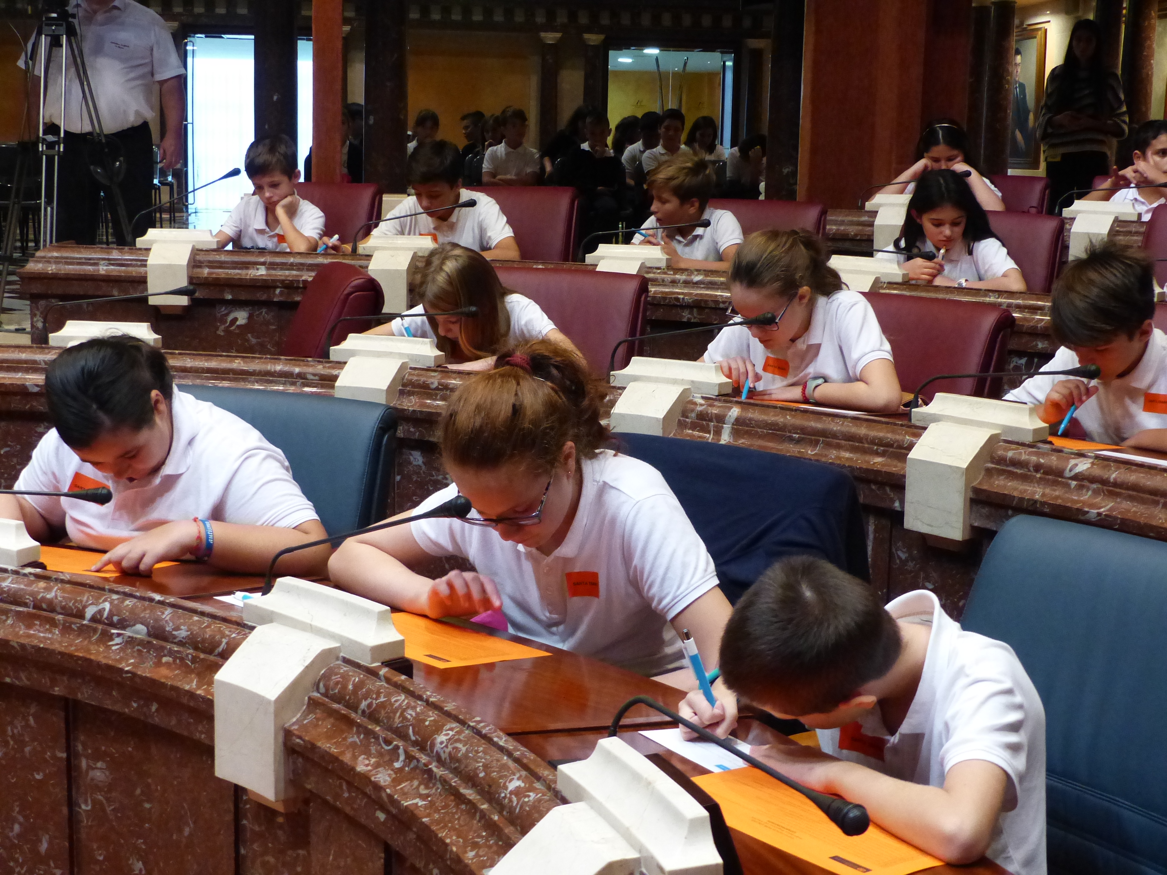 Aldeas Infantiles SOS ha celebrado en la Asamblea un pleno infantil