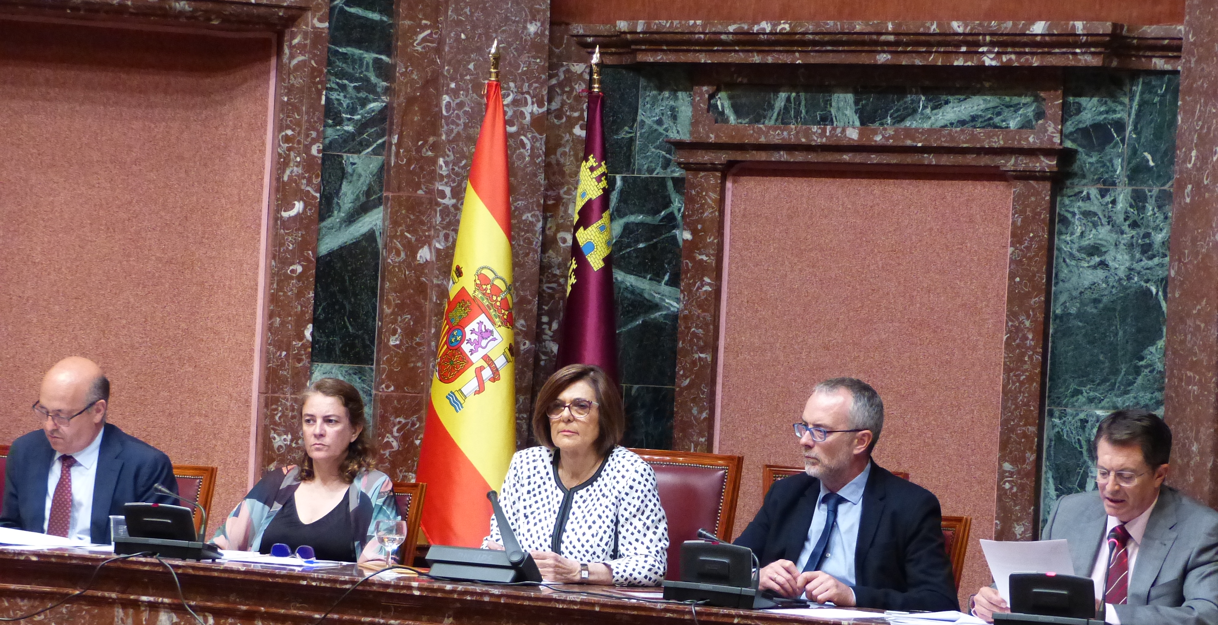 Sesión Plenaria del jueves 19 de julio
