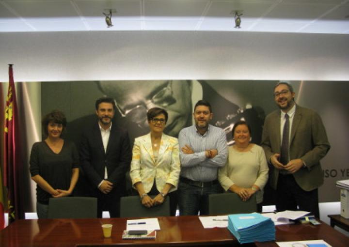 Comisión del Estatuto del Diputado y de la Actividad Política